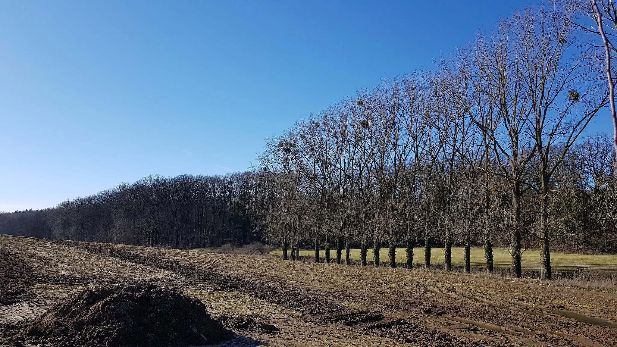 Photo showing: Horstergrub bij Banholt, Nederland