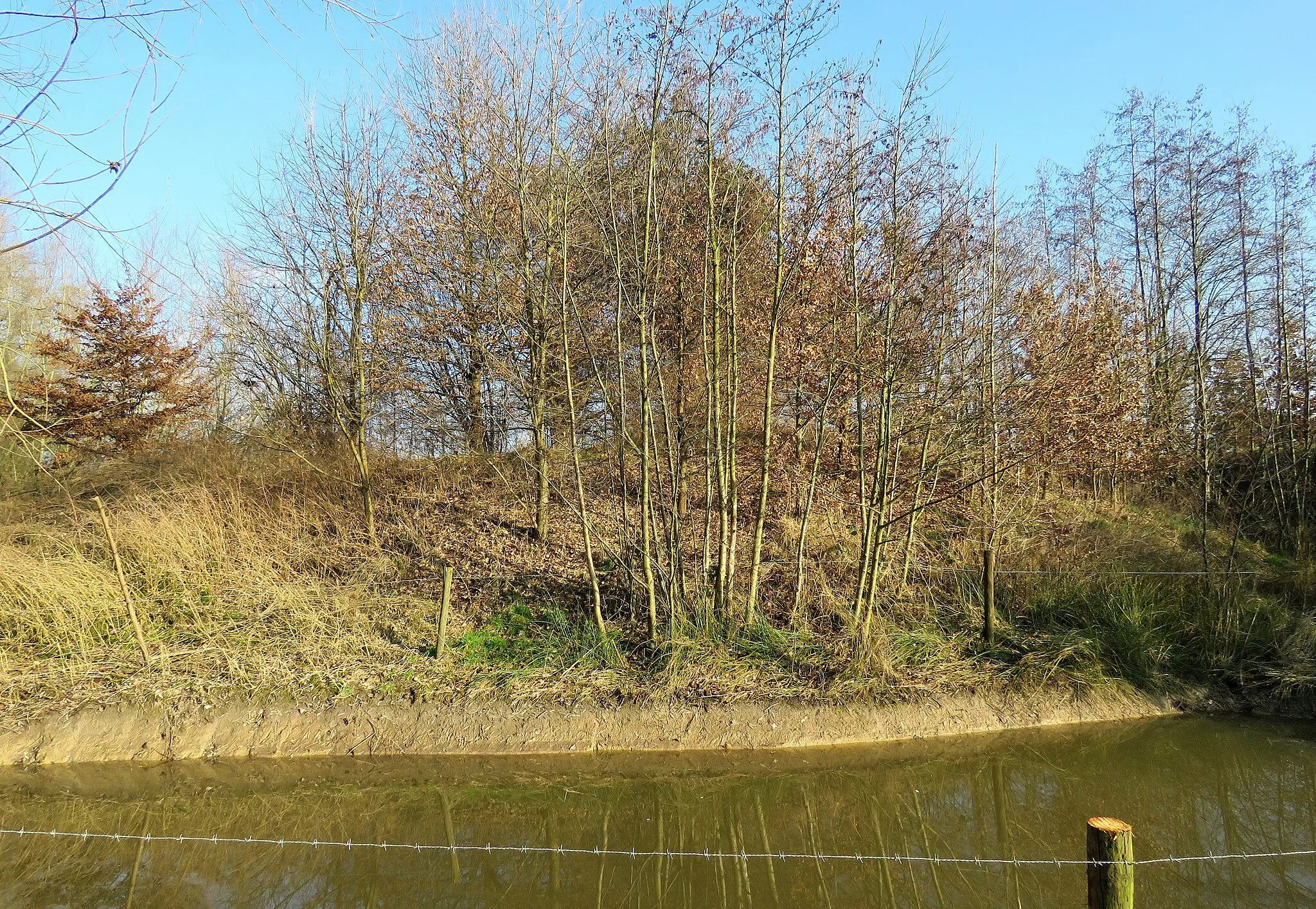 Photo showing: Asbergː motte (kunstmatige heuvel) van middeleeuwse versterking in Stevoort (Hasselt); diameter bijna 30 m, hoogte 4 m (ooit nog 3 m hoger), ringgracht met een breedte van circa 10 m
