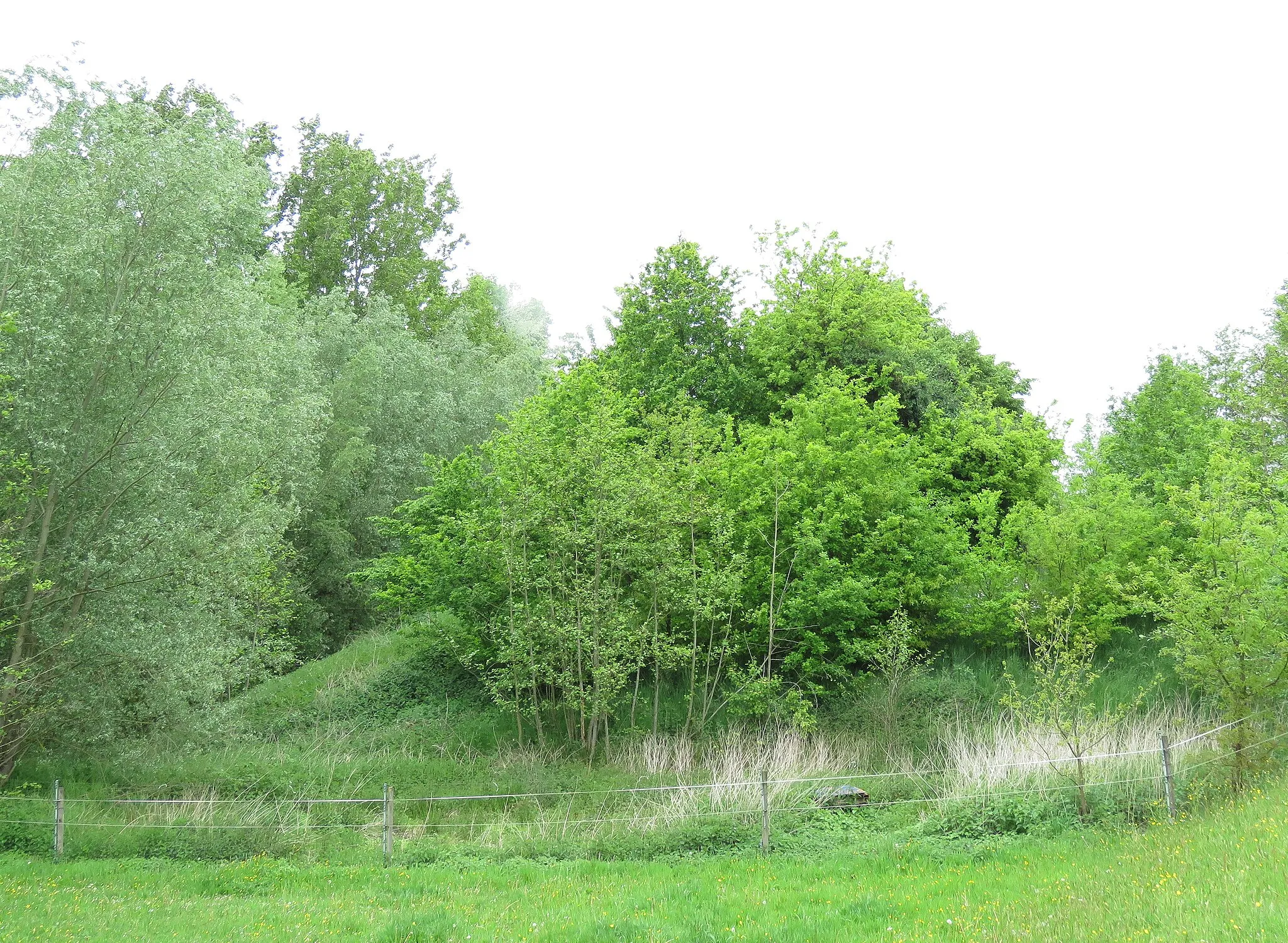 Photo showing: Asbergː motte (kunstmatige heuvel) van middeleeuwse versterking in Stevoort (Hasselt); diameter bijna 30 m, hoogte 4 m (ooit nog 3 m hoger),  ringgracht met een breedte van circa 10 m