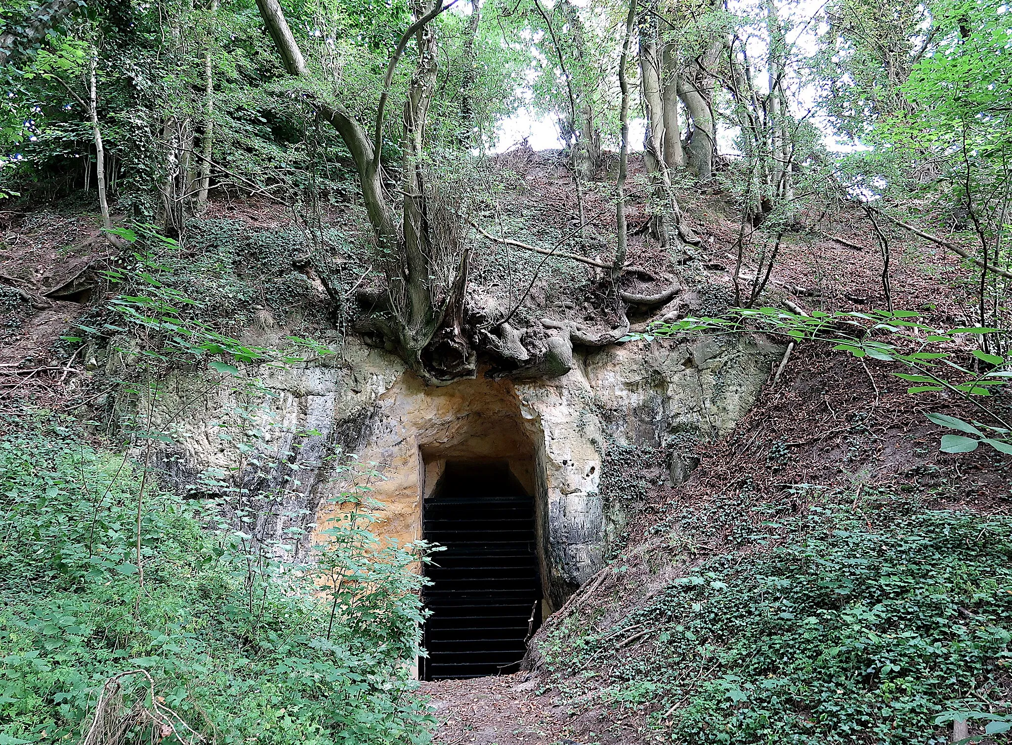 Photo showing: Entrance of Hussenkuil in Vechmaal (Heers), one of the Hinnisdael caves, namely Hinnisdael V, an old underground limestone (Cretaceous chalk) quarry.