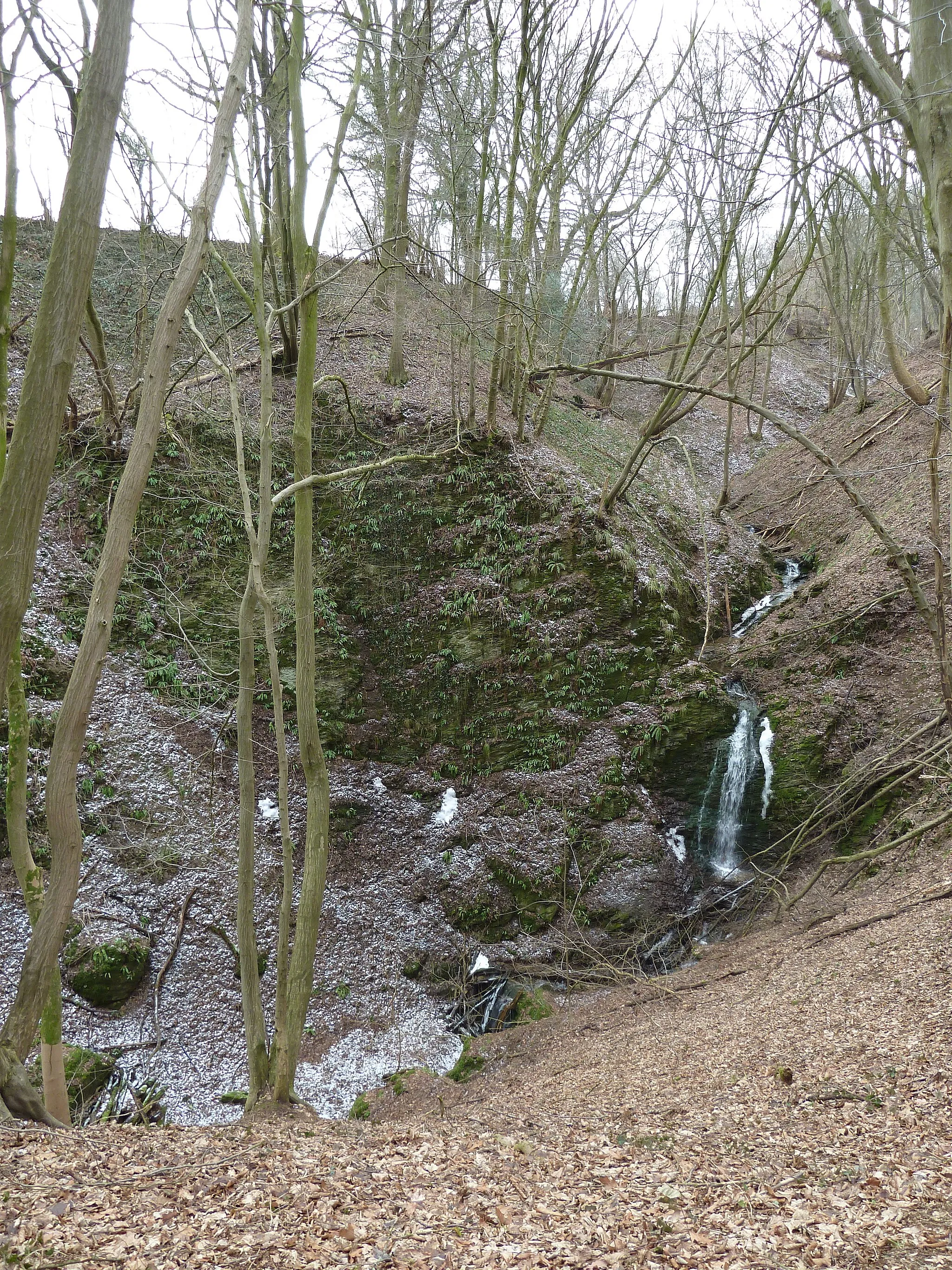 Photo showing: Chantoire de Grandchamp, chantoir near Adzeu, province Liège, Belgium