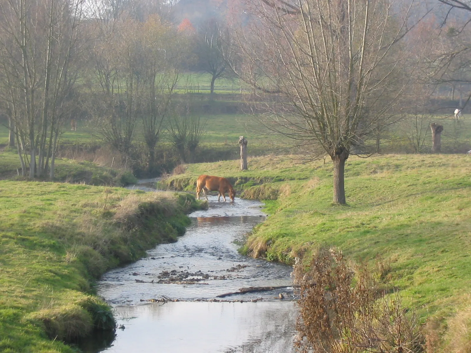 Photo showing: Gulp at Slenaken, Netherlands