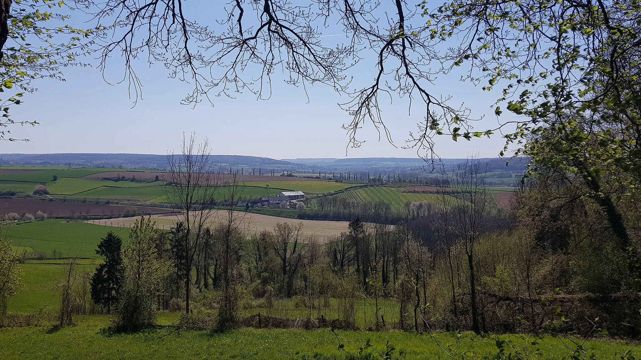 Photo showing: Eyserhalte gezien vanuit het Eyserbos op de Eyserberg, Eys, Nederland