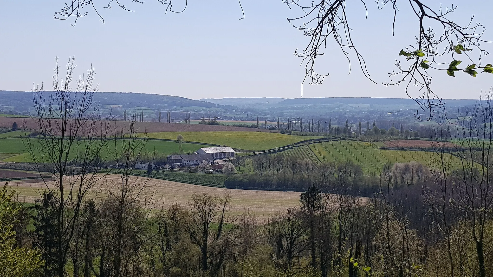 Photo showing: Eyserhalte gezien vanuit het Eyserbos op de Eyserberg, Eys, Nederland