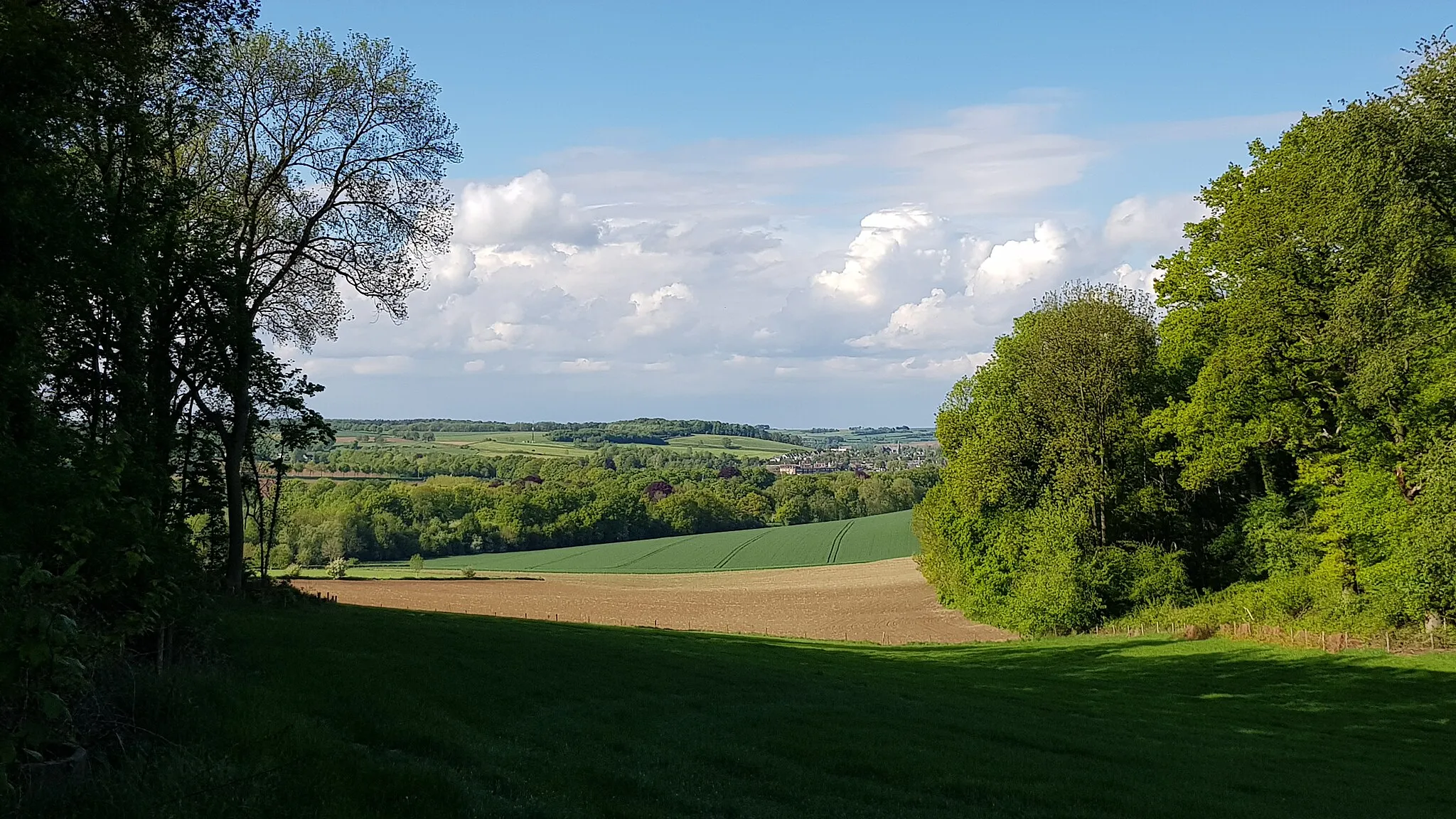 Photo showing: forest near Crapoel, Gulpen-Wittem, Limburg, Netherlands