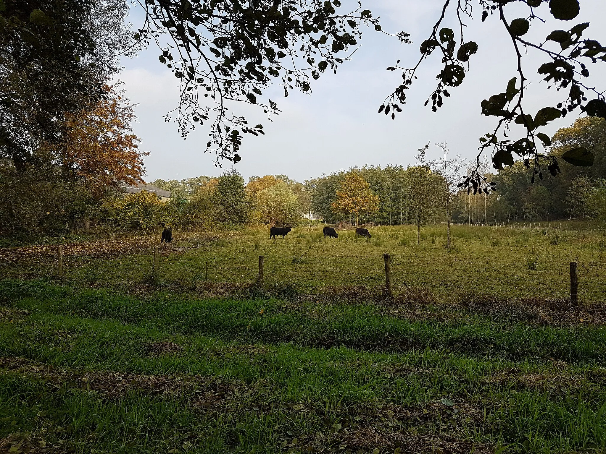 Photo showing: View of Puttersvoetpad near Retersbeek in Voerendaal, Limburg, the Netherlands.