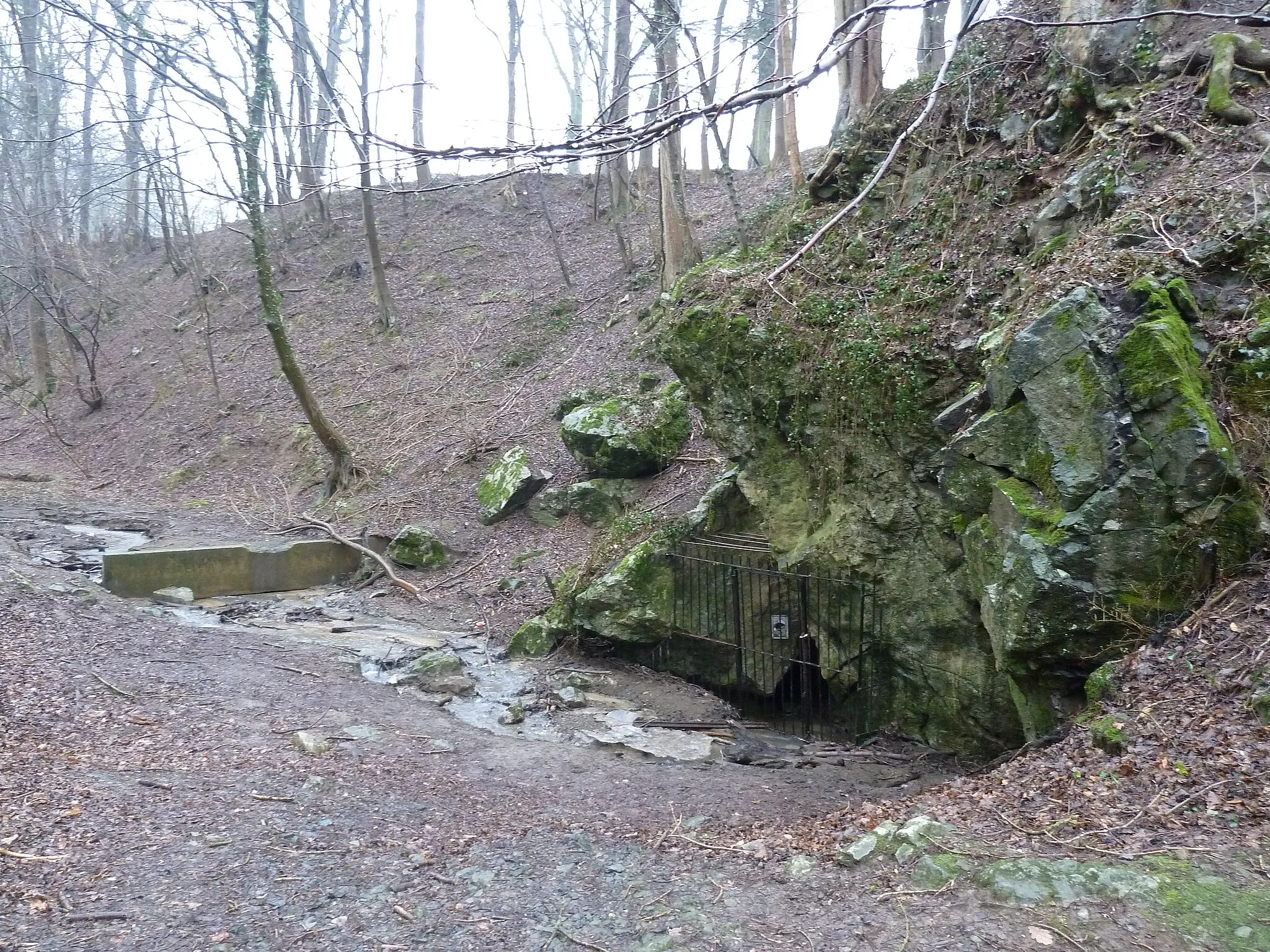 Photo showing: Chantoir near Playe, province Liège, Belgium