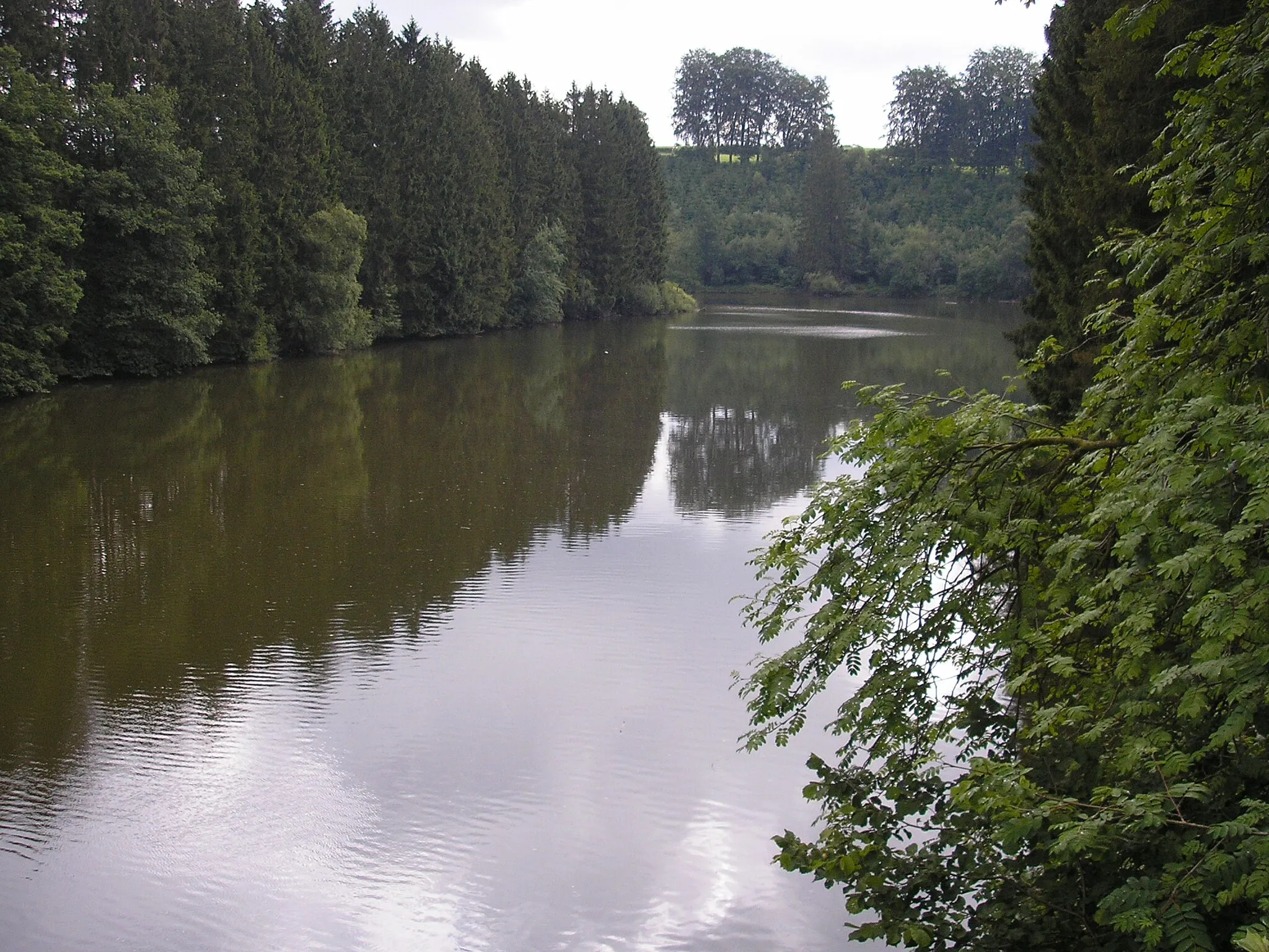 Photo showing: Stausee von Robertville bei Outrewarche