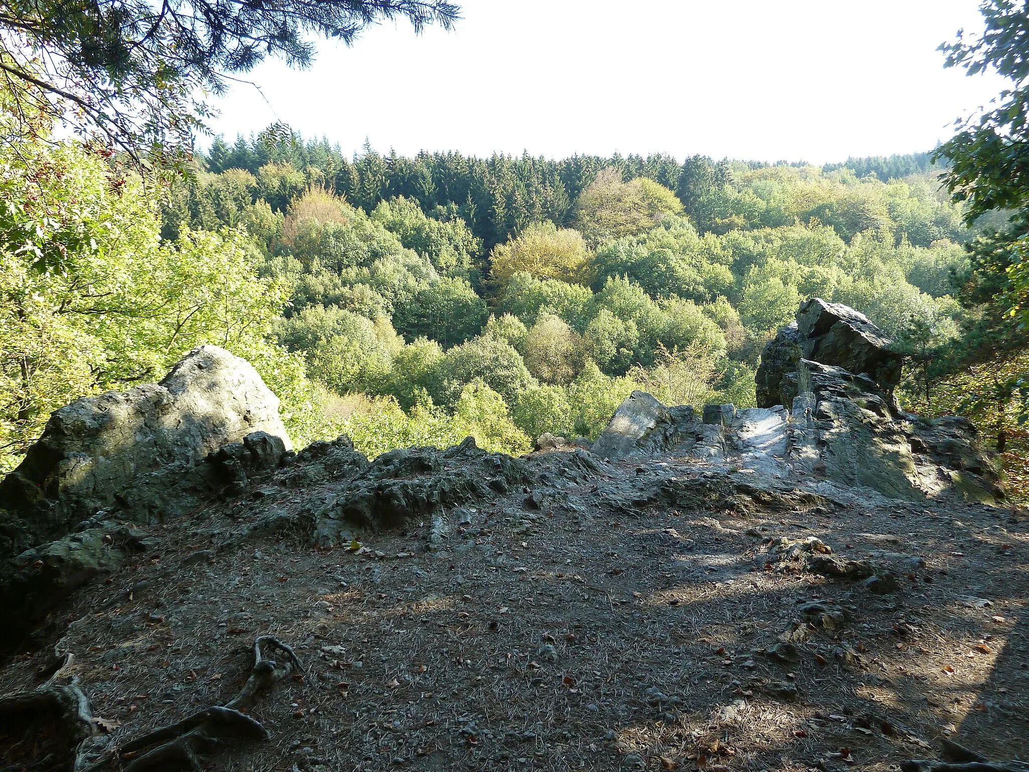 Photo showing: Rocher de Bilisse, Solwaster, Belgique