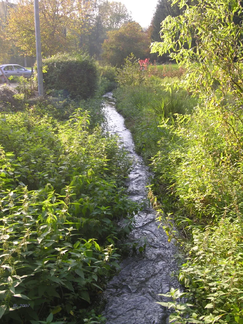 Photo showing: El riu Bel a Val-Dieu poc abans el conflent amb el Berwijn