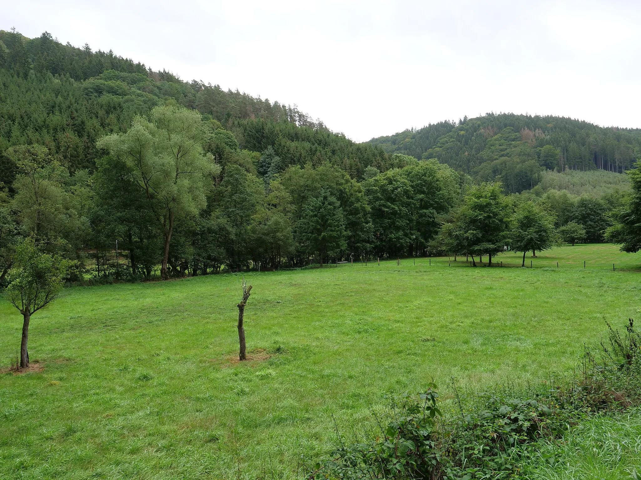 Photo showing: Erkensruhrtal im September 2019.