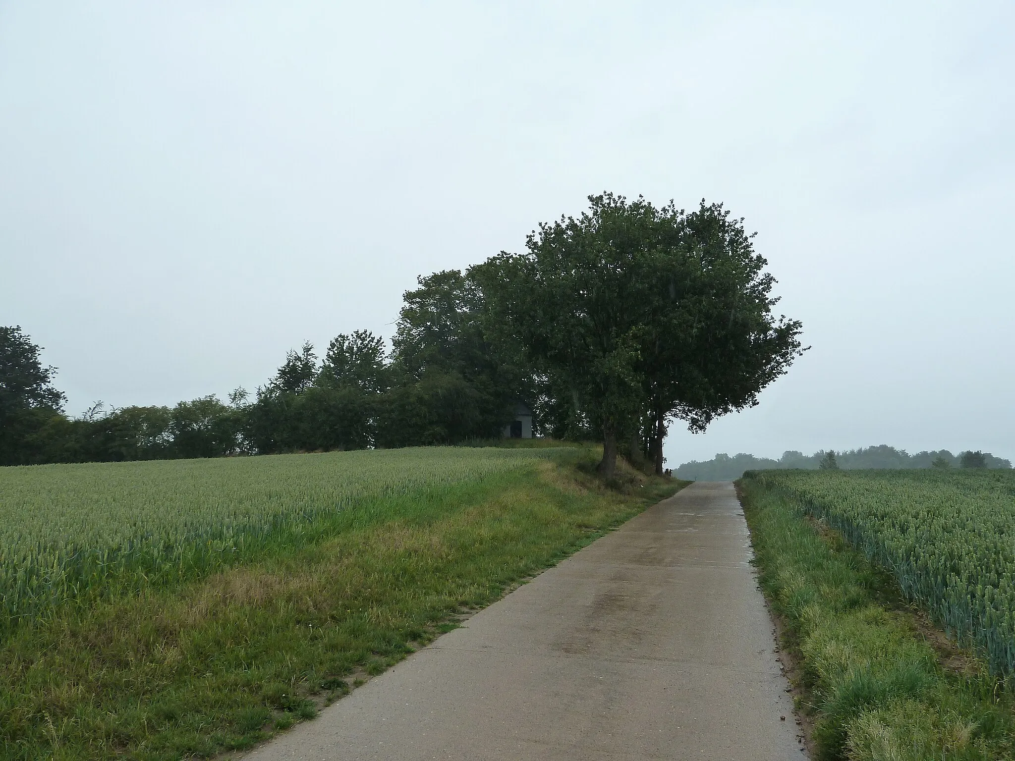 Photo showing: Tumulus d'Otrange, Oreye, Belgique