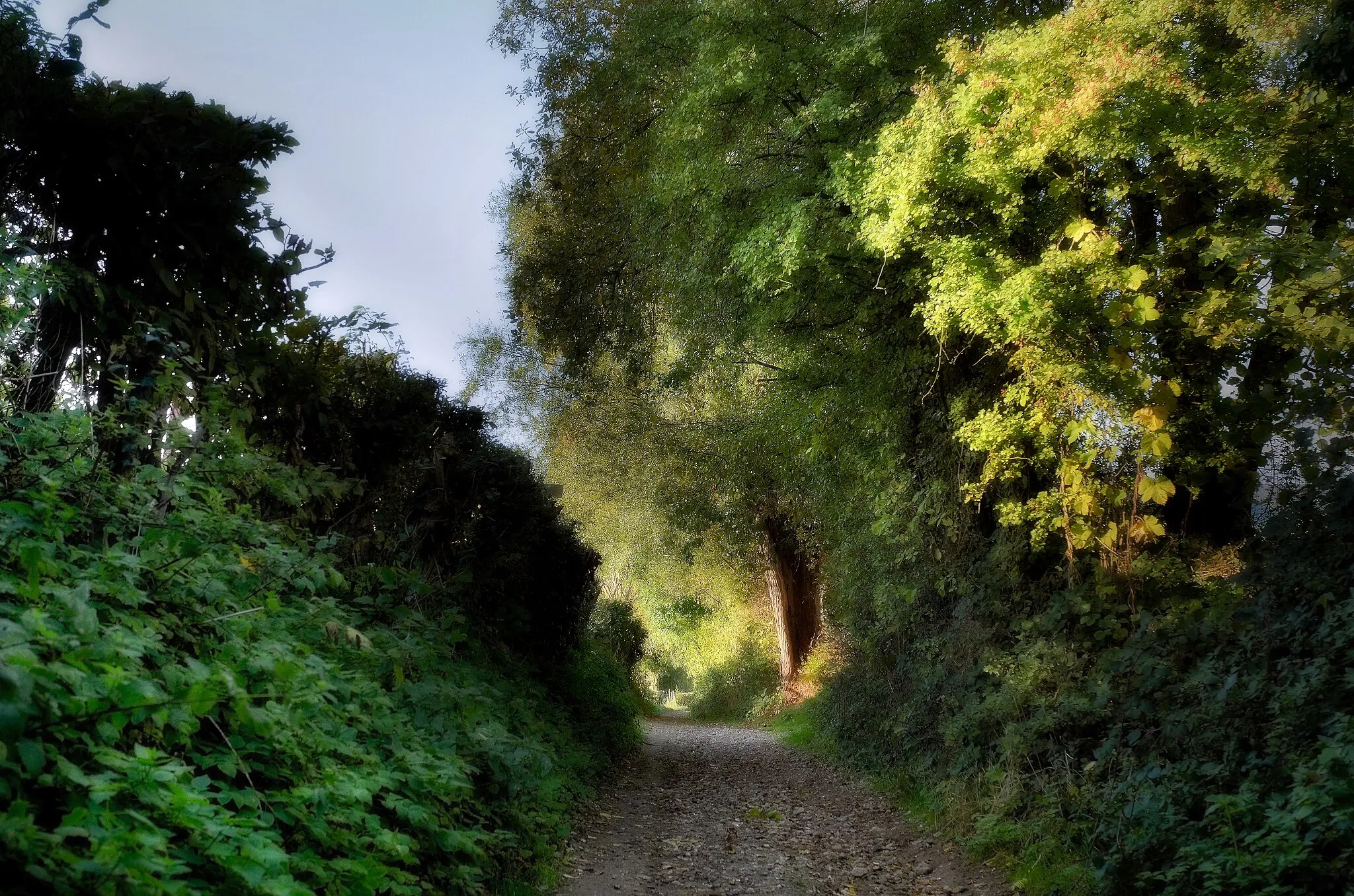 Photo showing: Low light hollow path