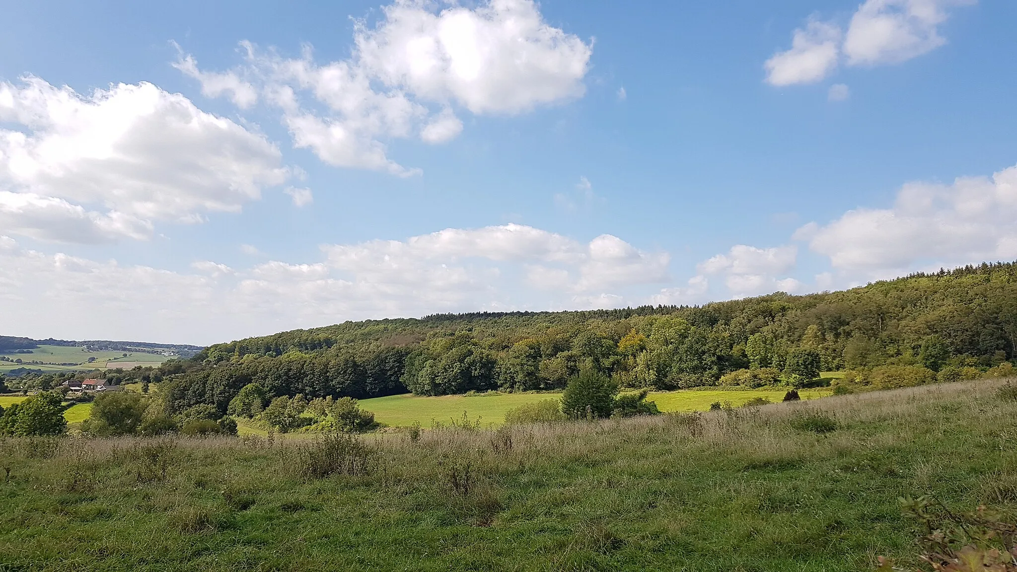 Photo showing: uitzicht op Vijlenerbos en Geuldal, Cottessen, Nederland