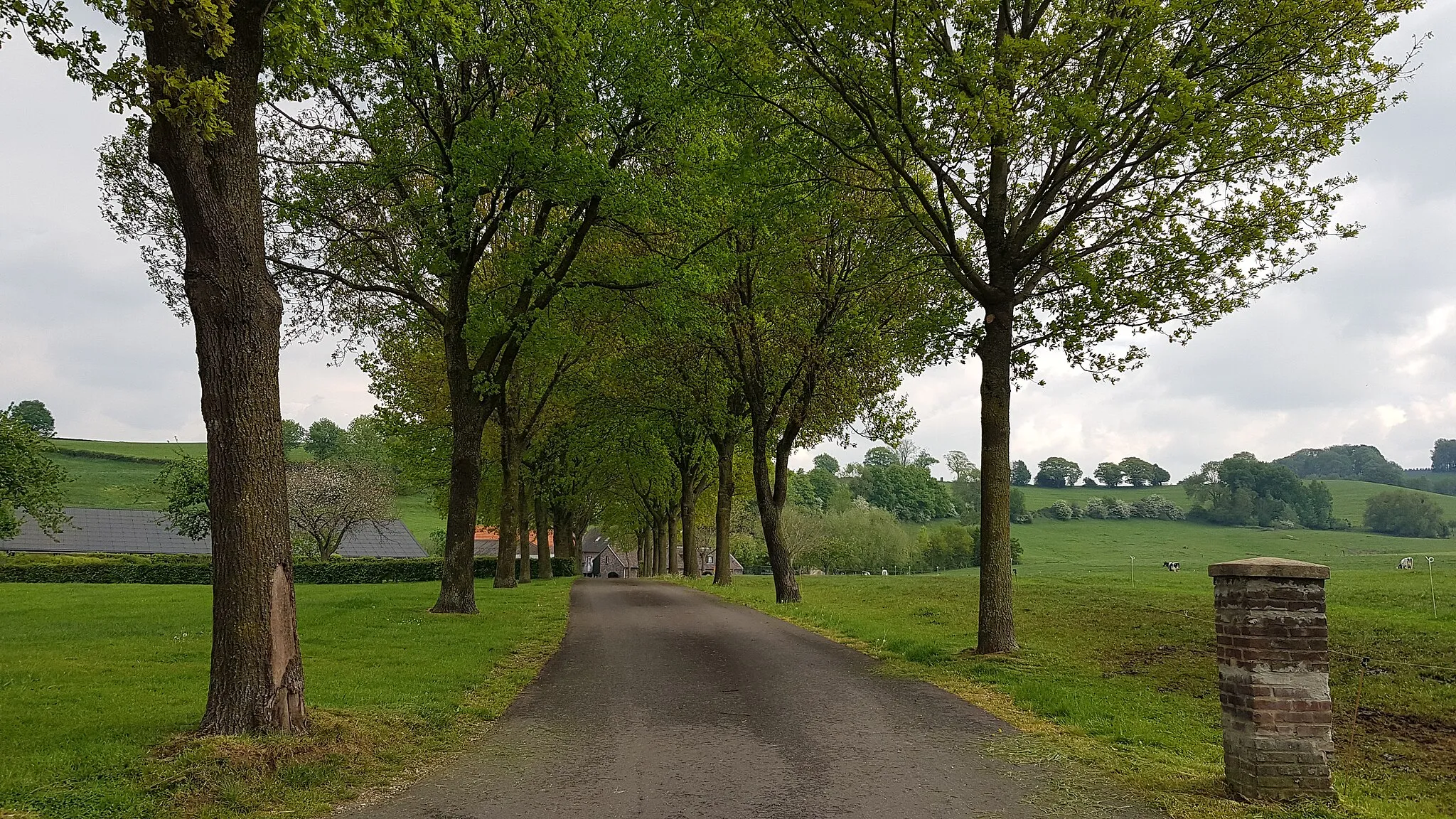 Photo showing: bomenlaan Terzieterweg 15, Terziet, Epen, Nederland