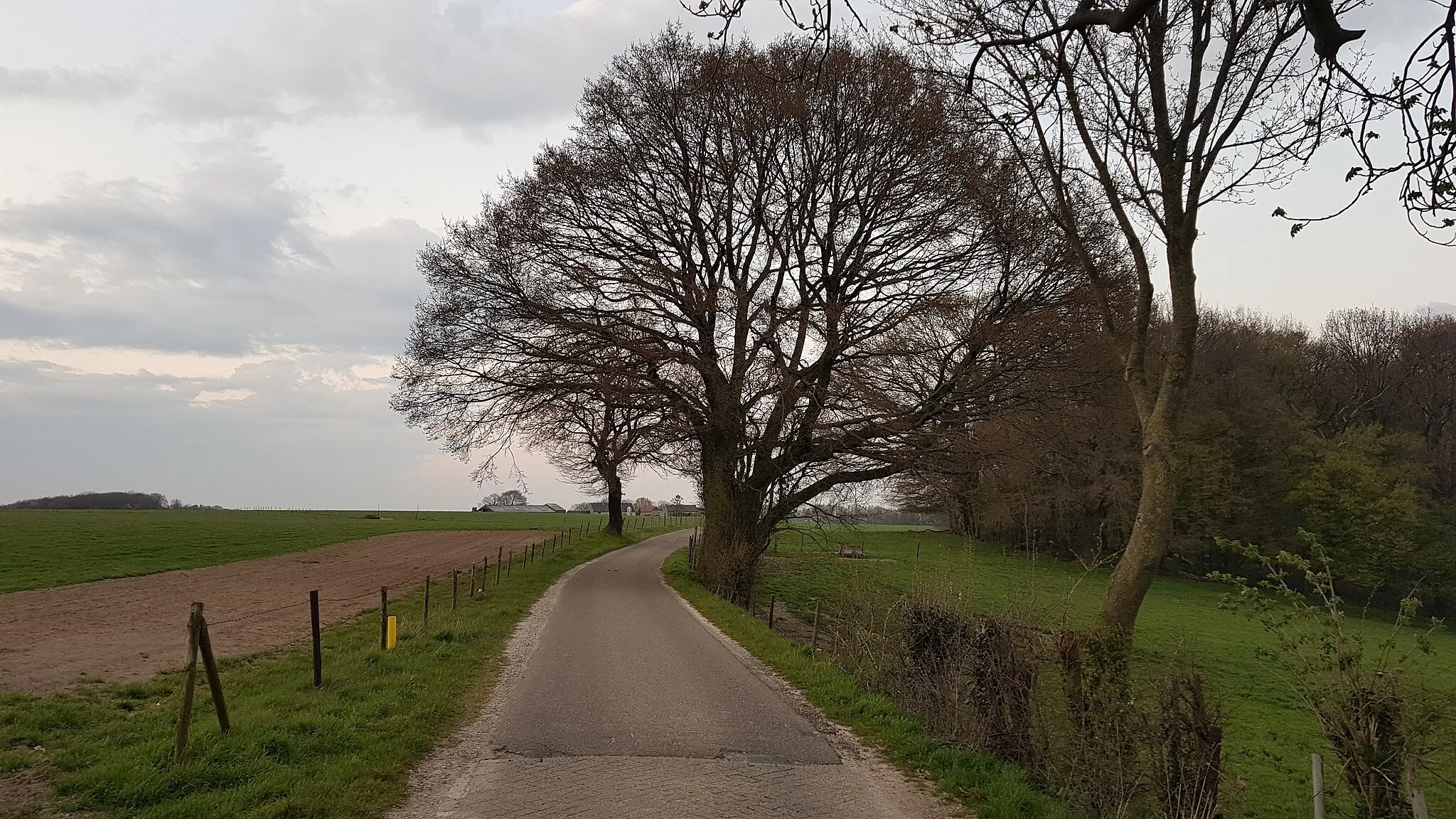 Photo showing: Berghofweg, Ingber, Nederland