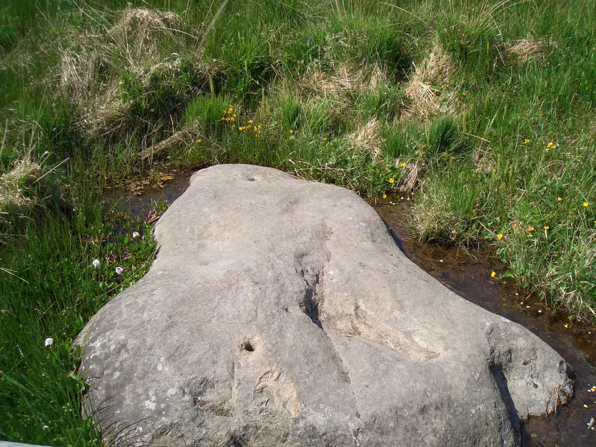 Photo showing: Der Fels „Weißer Stein“ auf dem Berg Weißer Stein (im Moor am „Boxvenn“ etwa 1 km nordwestlich der Bergkuppe auf belgischer Seite, Höhe 660 m NN)