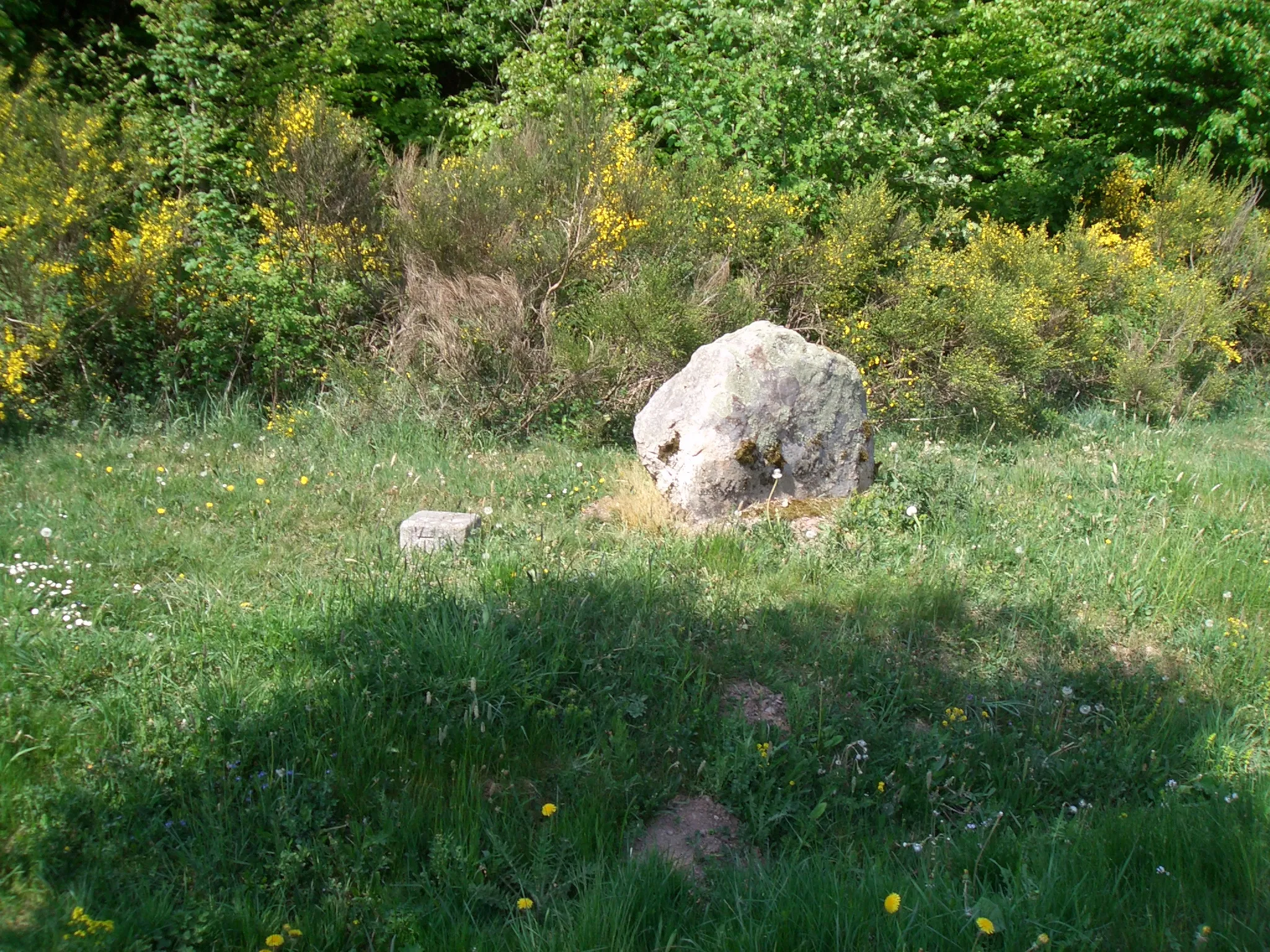 Photo showing: Trigonometrischer Punkt am Parkplatz „Weißer Stein“, Höhe 689,4 Meter – dieser Felsen ist nicht der „Weiße Stein“!