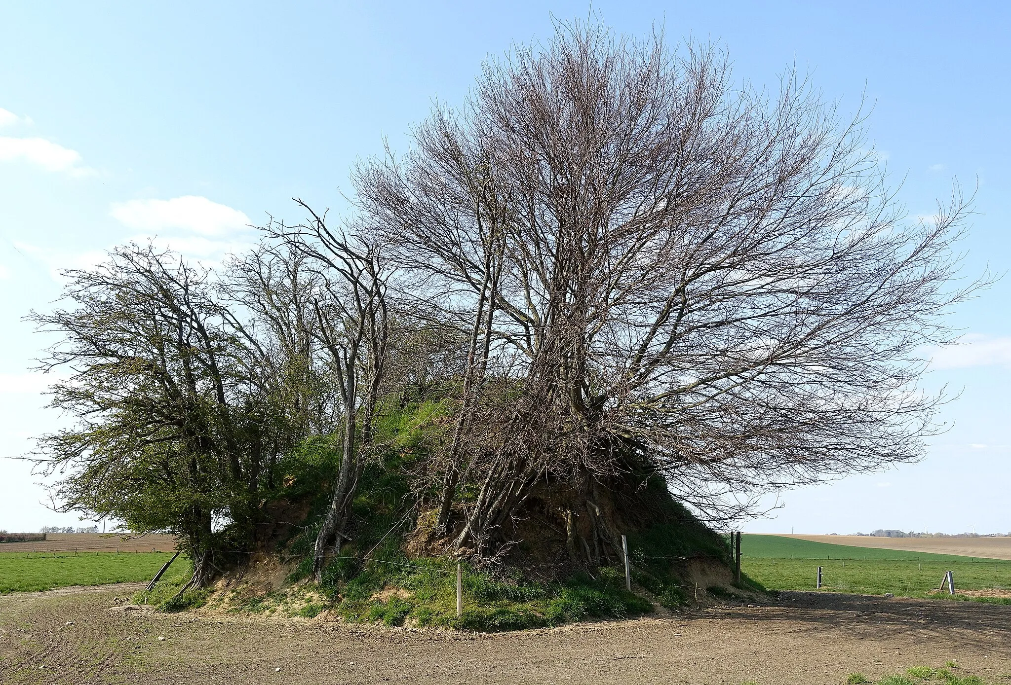 Photo showing: Tumulus de l'Empereur bij Moxhe in deelgemeente Villers-le-Peuplier van Hannuit