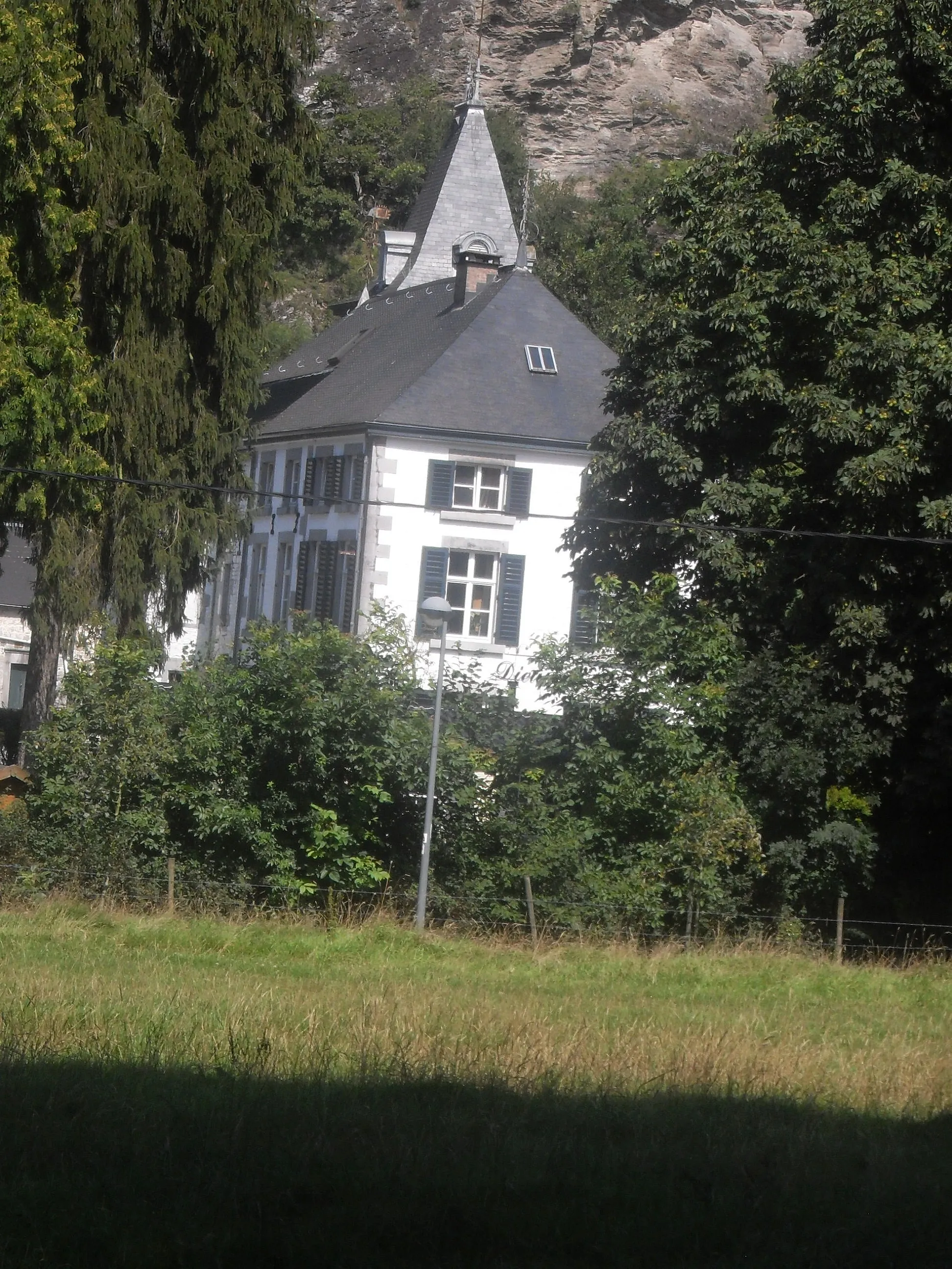 Photo showing: Chateau de Dieupart