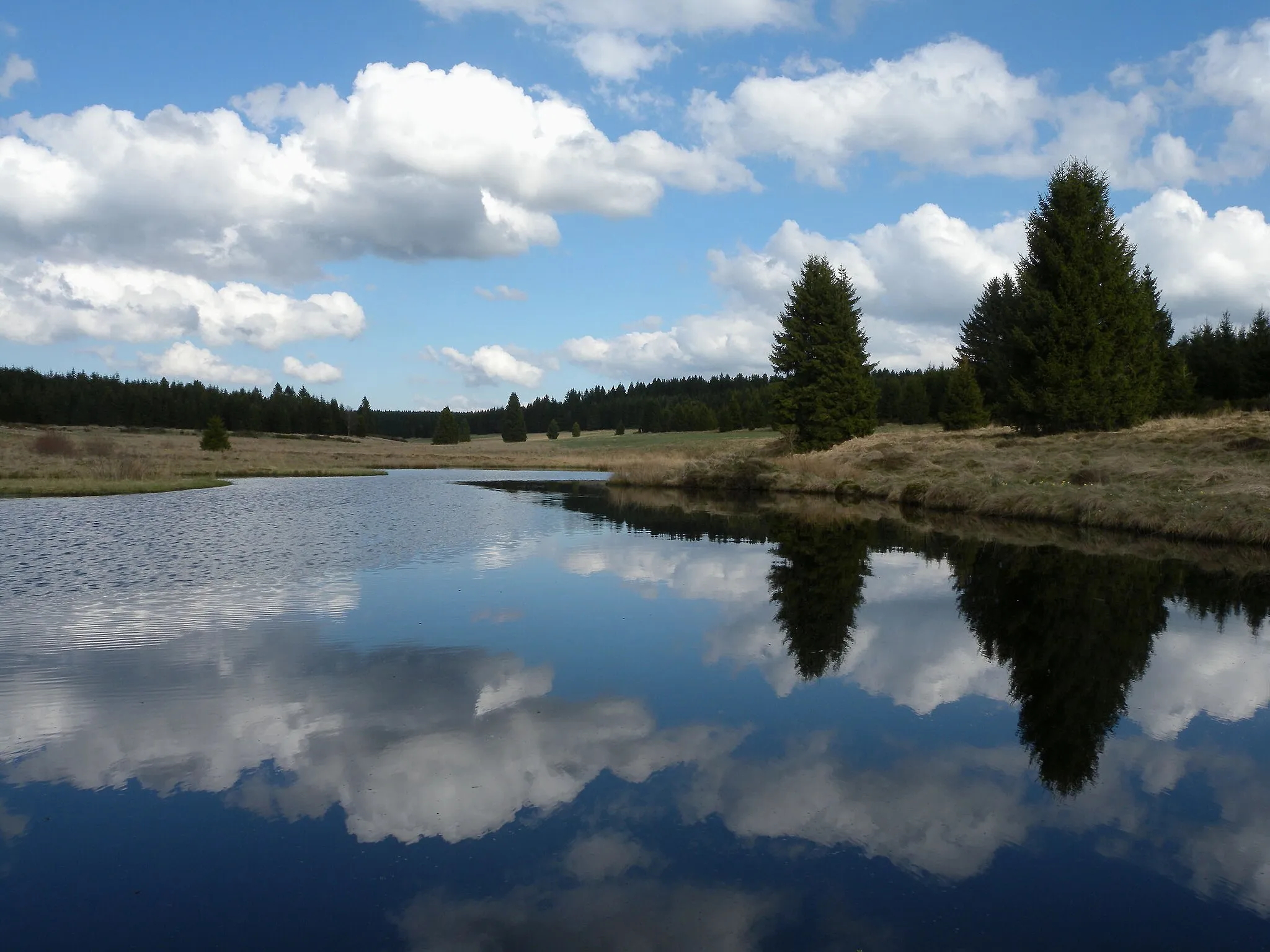 Photo showing: Brandweiher bei Rocherath, Ostbelgien