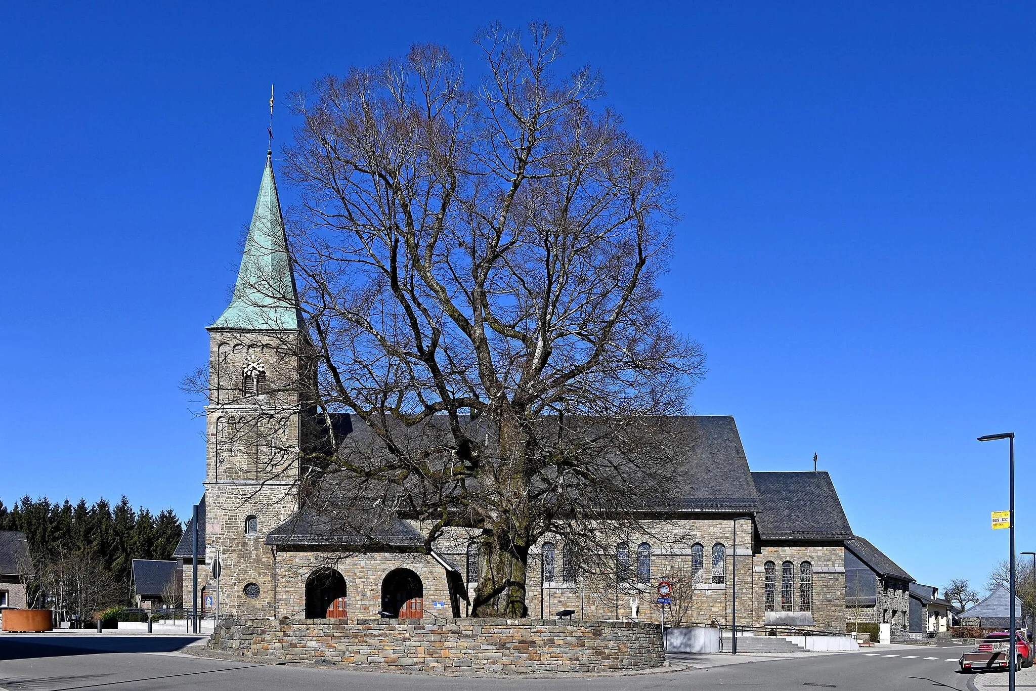 Photo showing: Weywertz, 20 m hohe und über 350 Jahre alte Linde auf dem Kirchplatz (seit 1668)