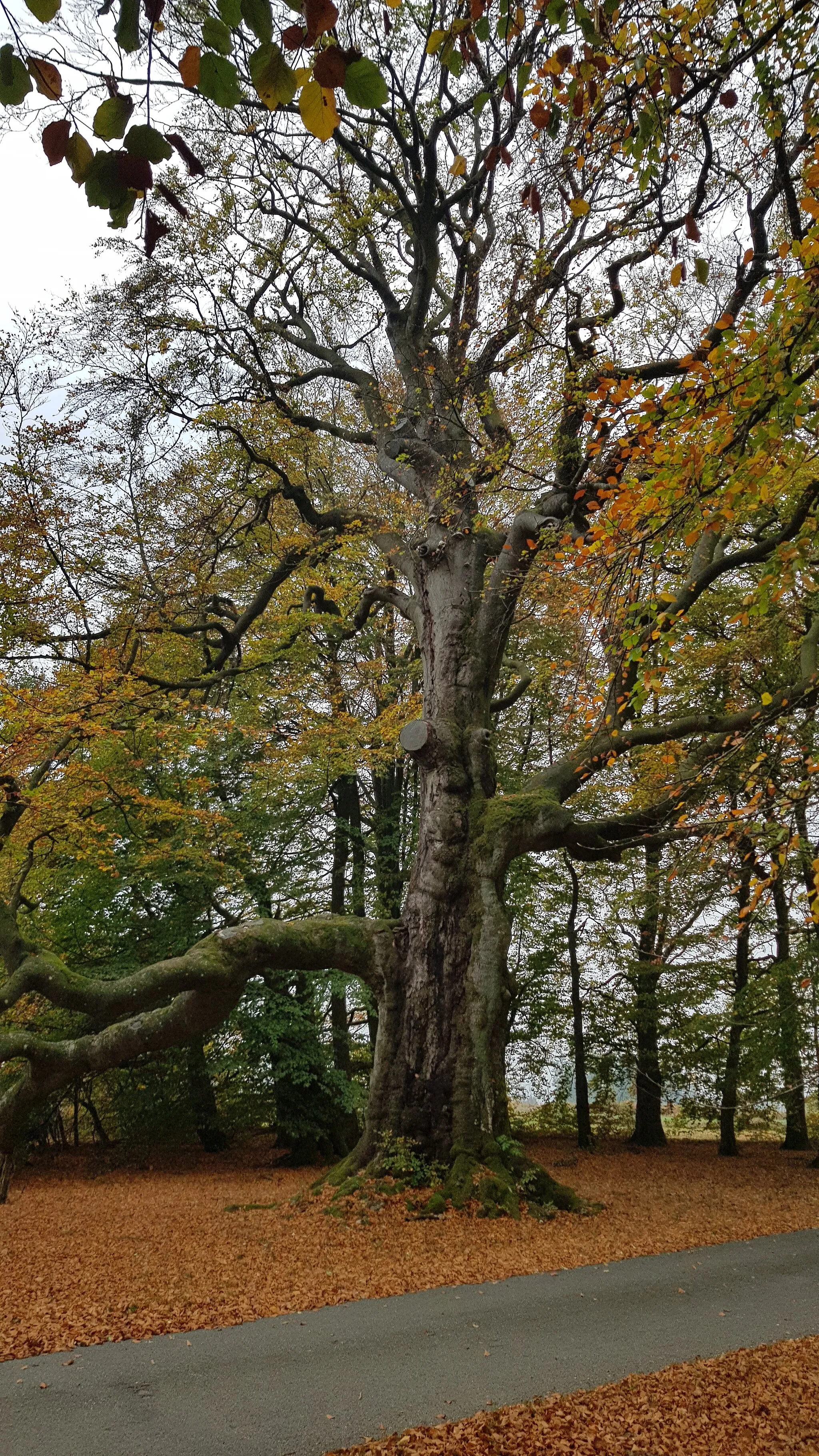 Photo showing: This photo of immovable heritage has been taken in the Walloon Region