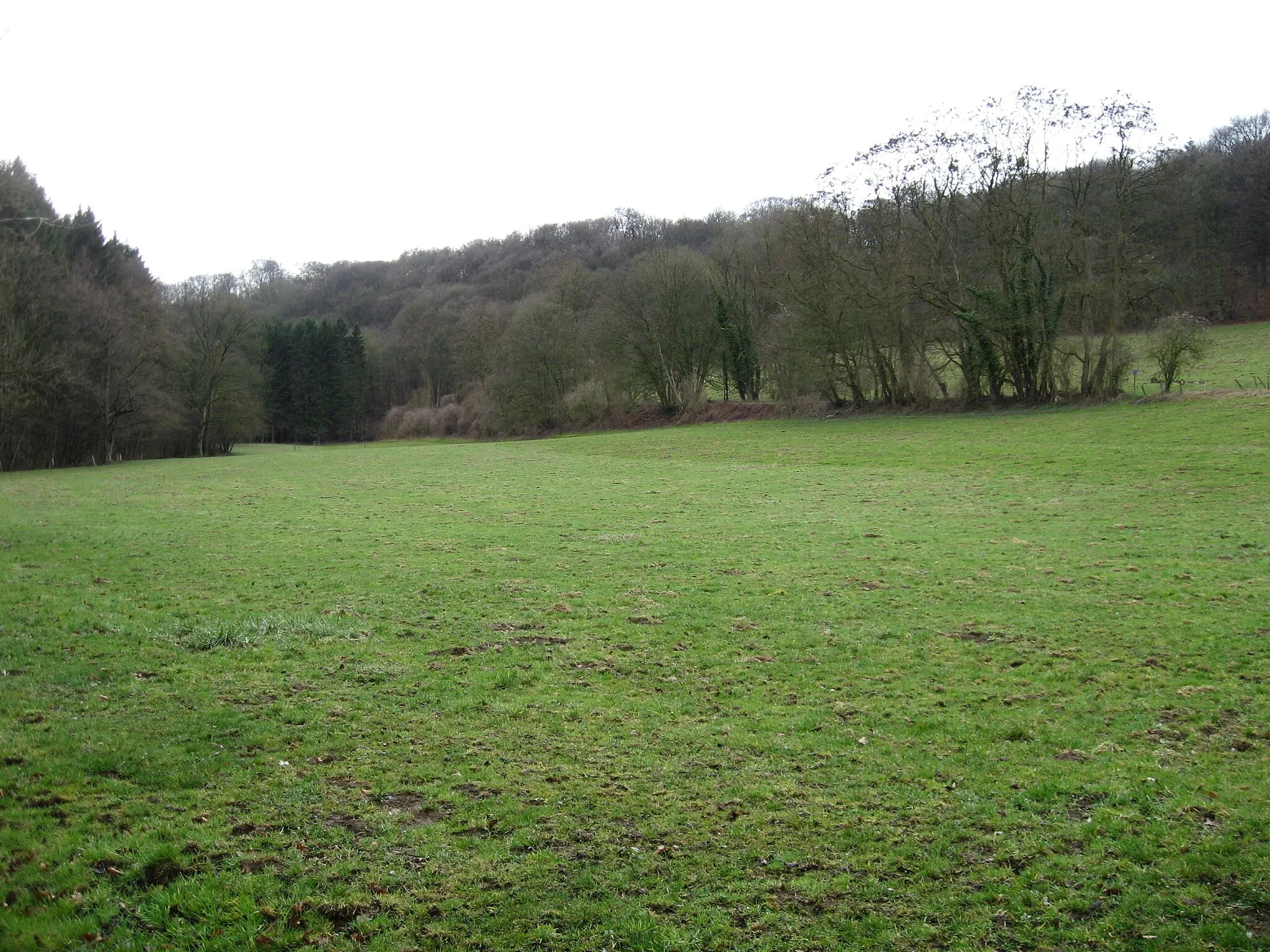 Photo showing: Old vicinal earthwork visible in the fields