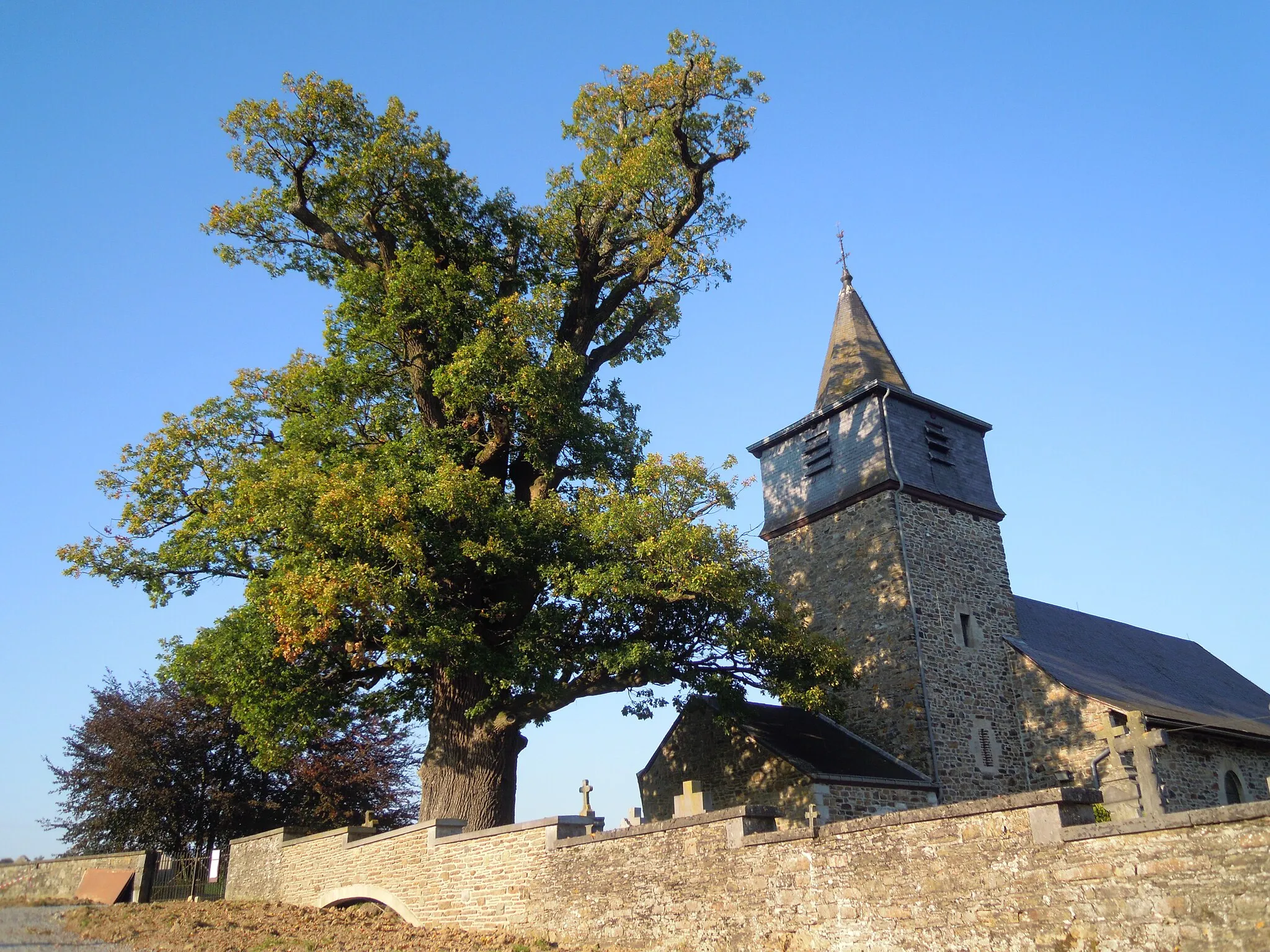 Photo showing: Church of Rahier, near Stoumont, Belgium, with old oak tree.