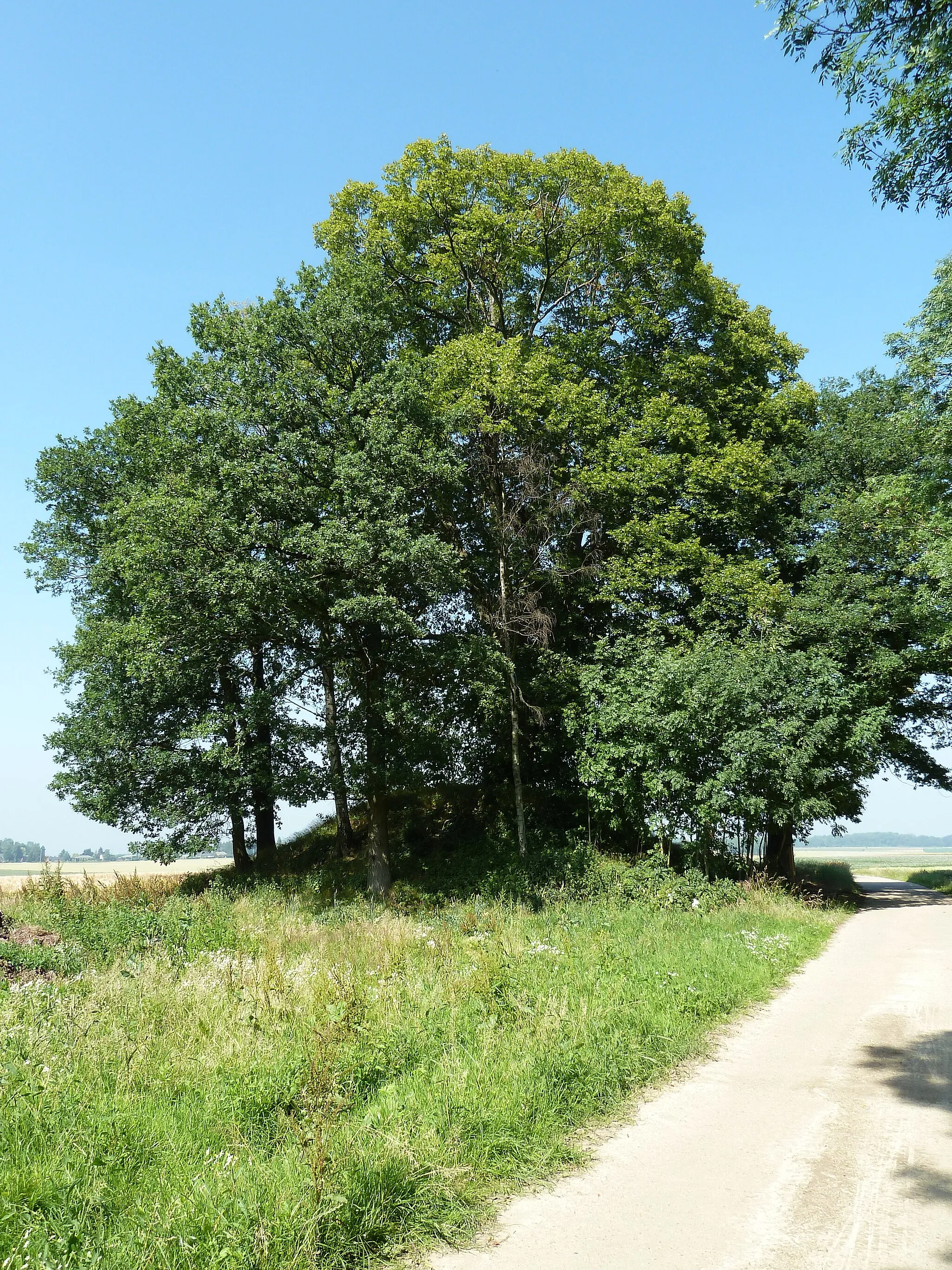 Photo showing: Tumulus de Ramelot, Tinlot, Belgique