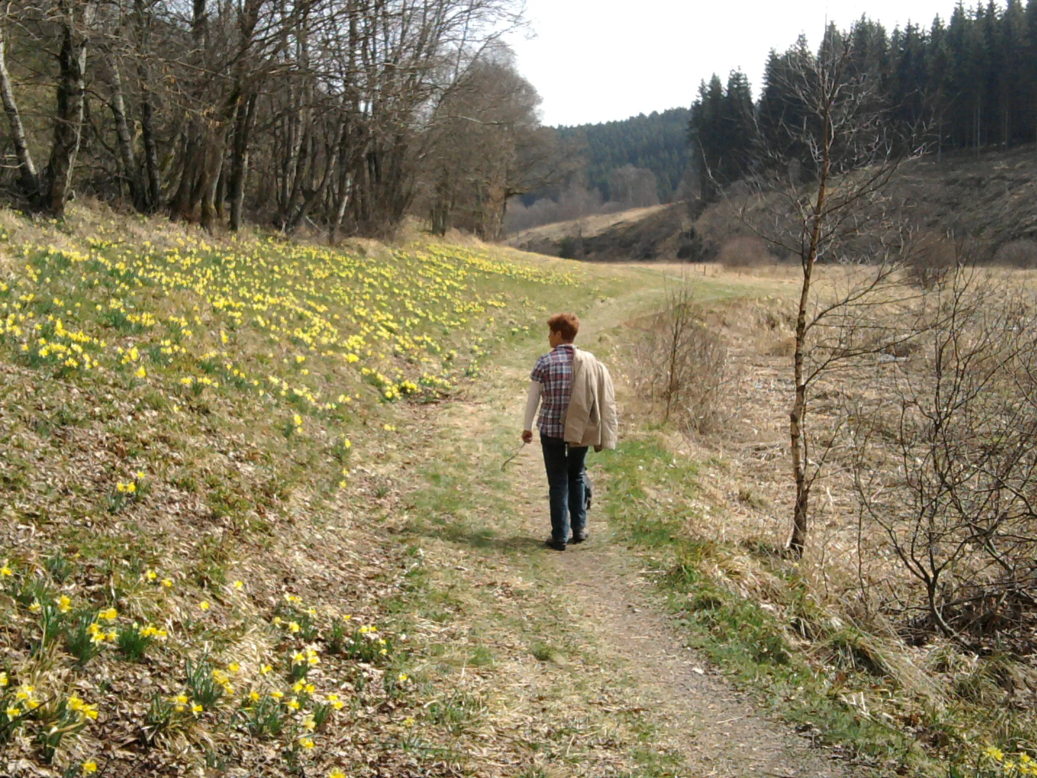 Photo showing: Oberes Perlenbachtal in Belgien (hier Schwalmbach genannt) im März 2014