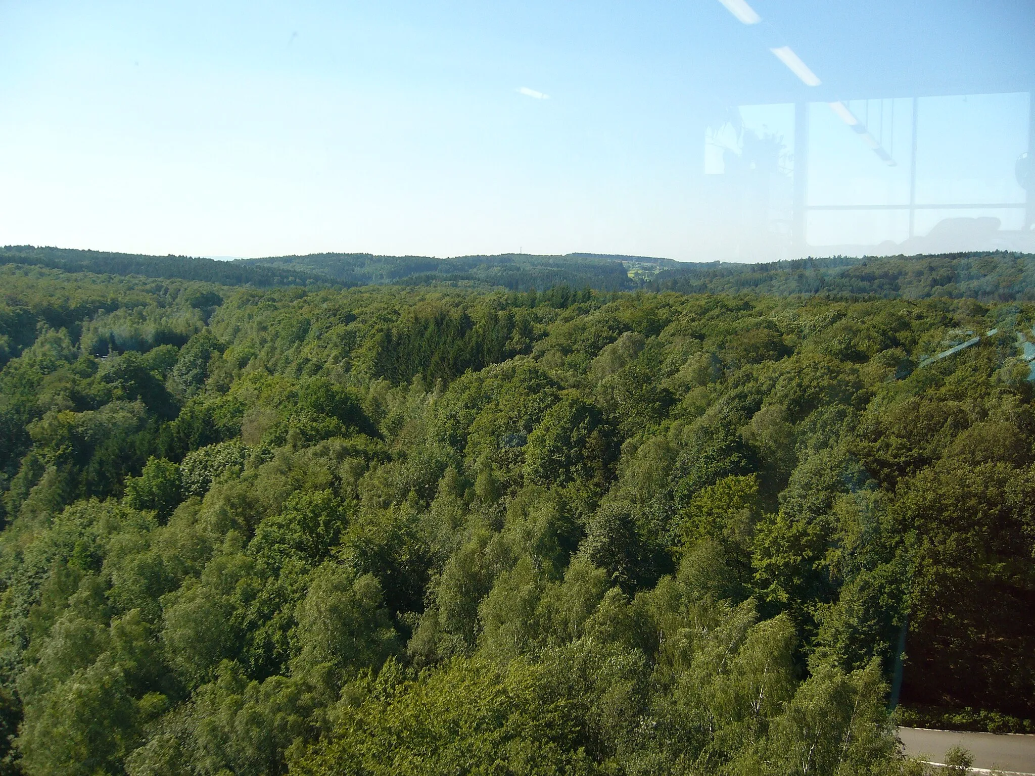 Photo showing: vue sur le Hertogenwald, de la tour panoramique près du barrage de la Gileppe