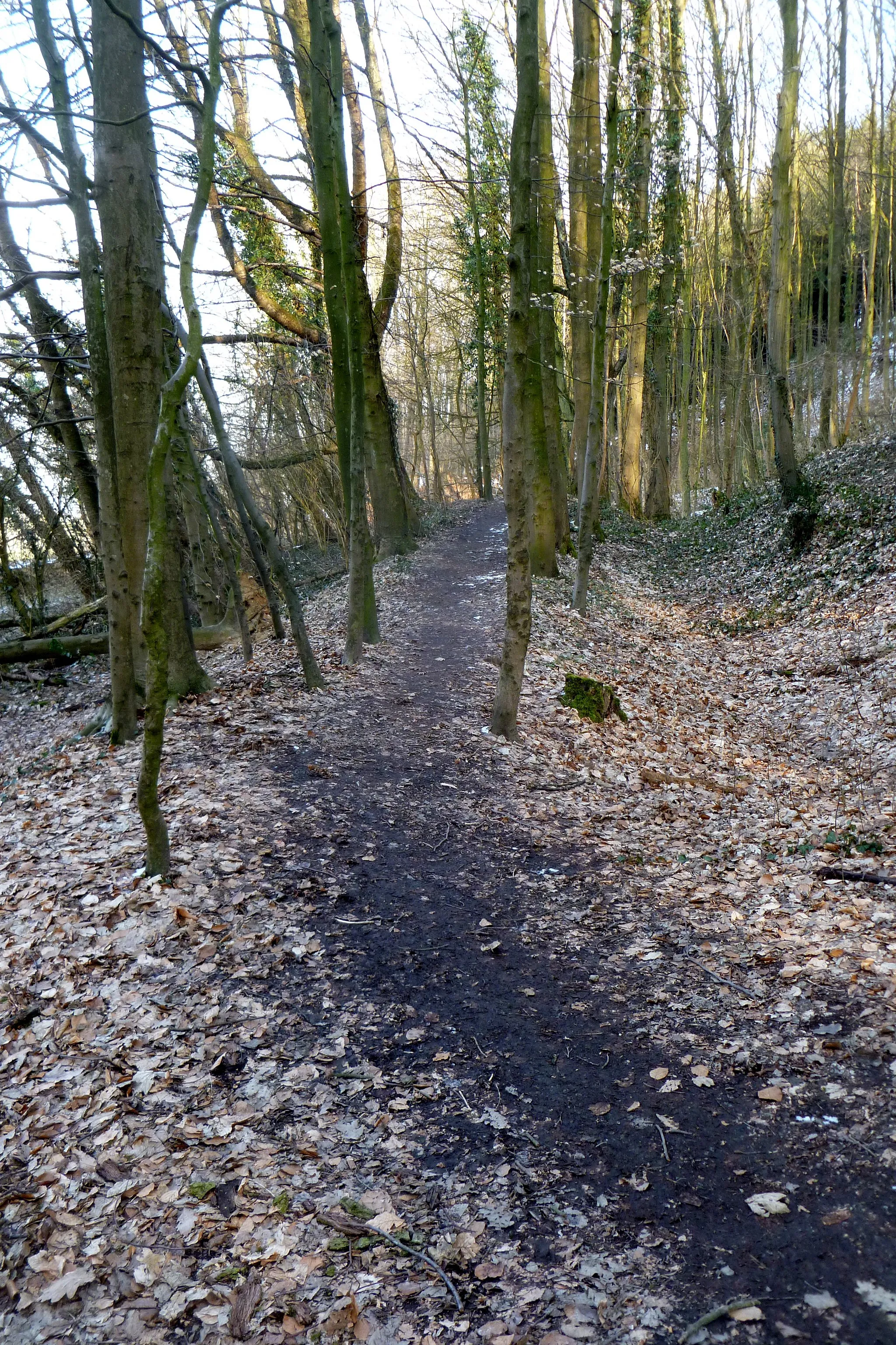 Photo showing: Teil des Inneren Landgrabens Aachen, Höhe Buchweg; Bodendenkmal