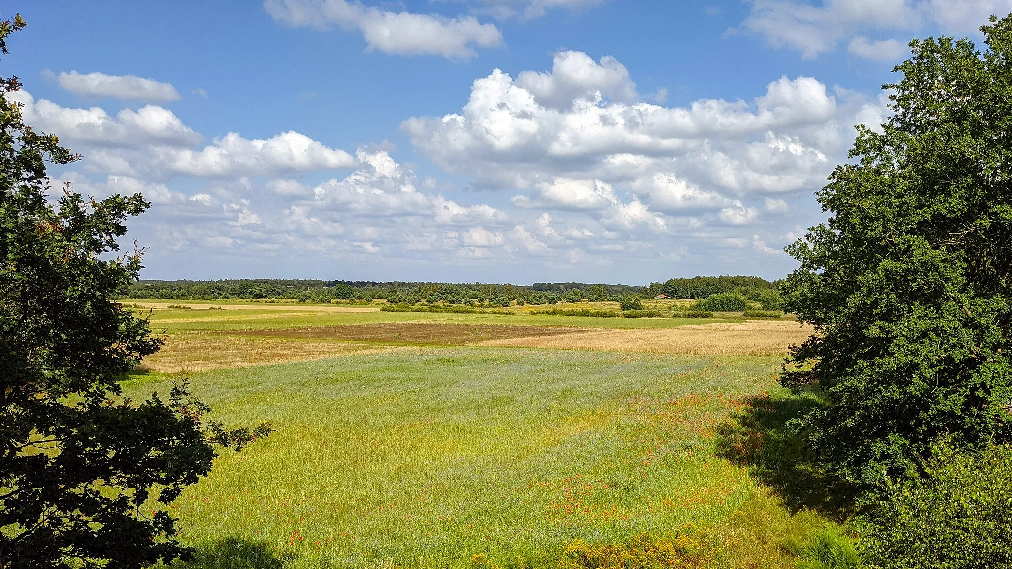 Photo showing: Mechelse Heide vanaf brug 9-07-2021 17-07-27