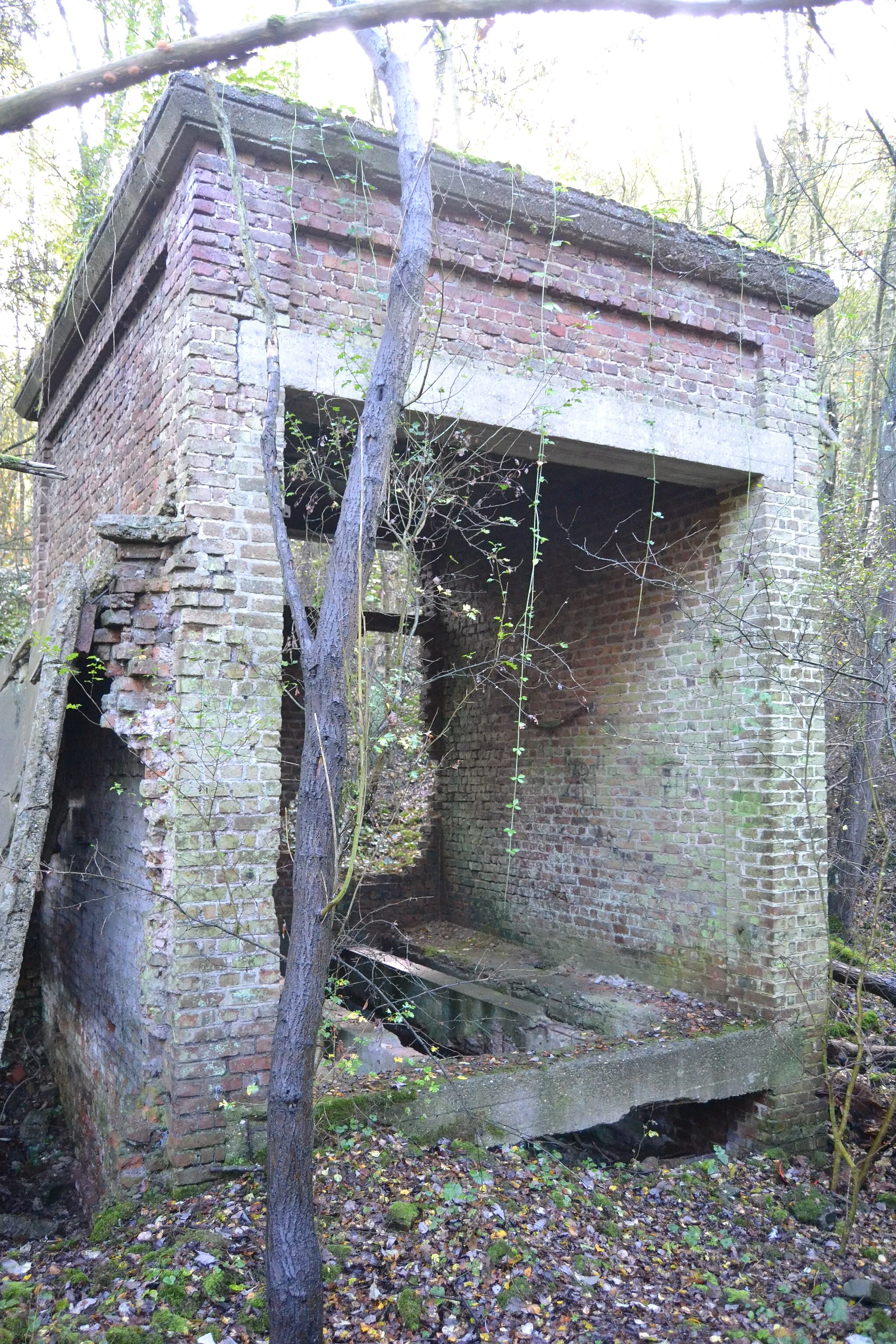 Photo showing: Ancient pit of the Sainte-Barbe coal mine inLiège, Belgium