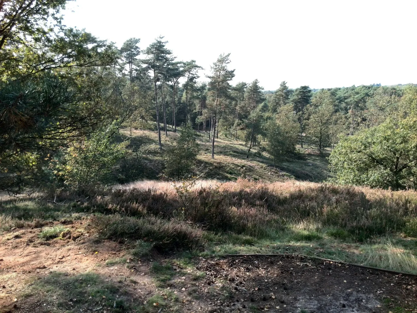 Photo showing: Heusden-Zolder_Bolderberg