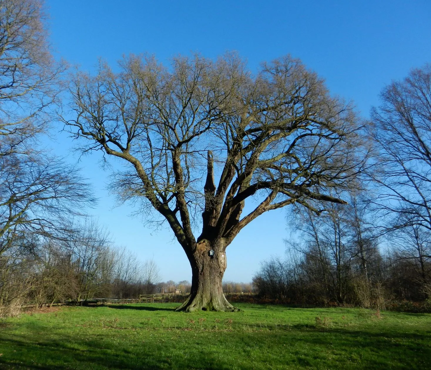 Photo showing: This is a photo of onroerend erfgoed number