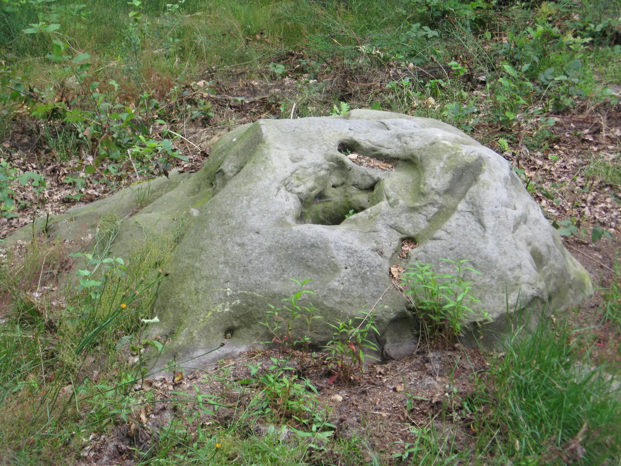 Photo showing: De Holsteen, a group of prehistoric stones to sharpen objects in Zonhoven, Limburg, Belgium
