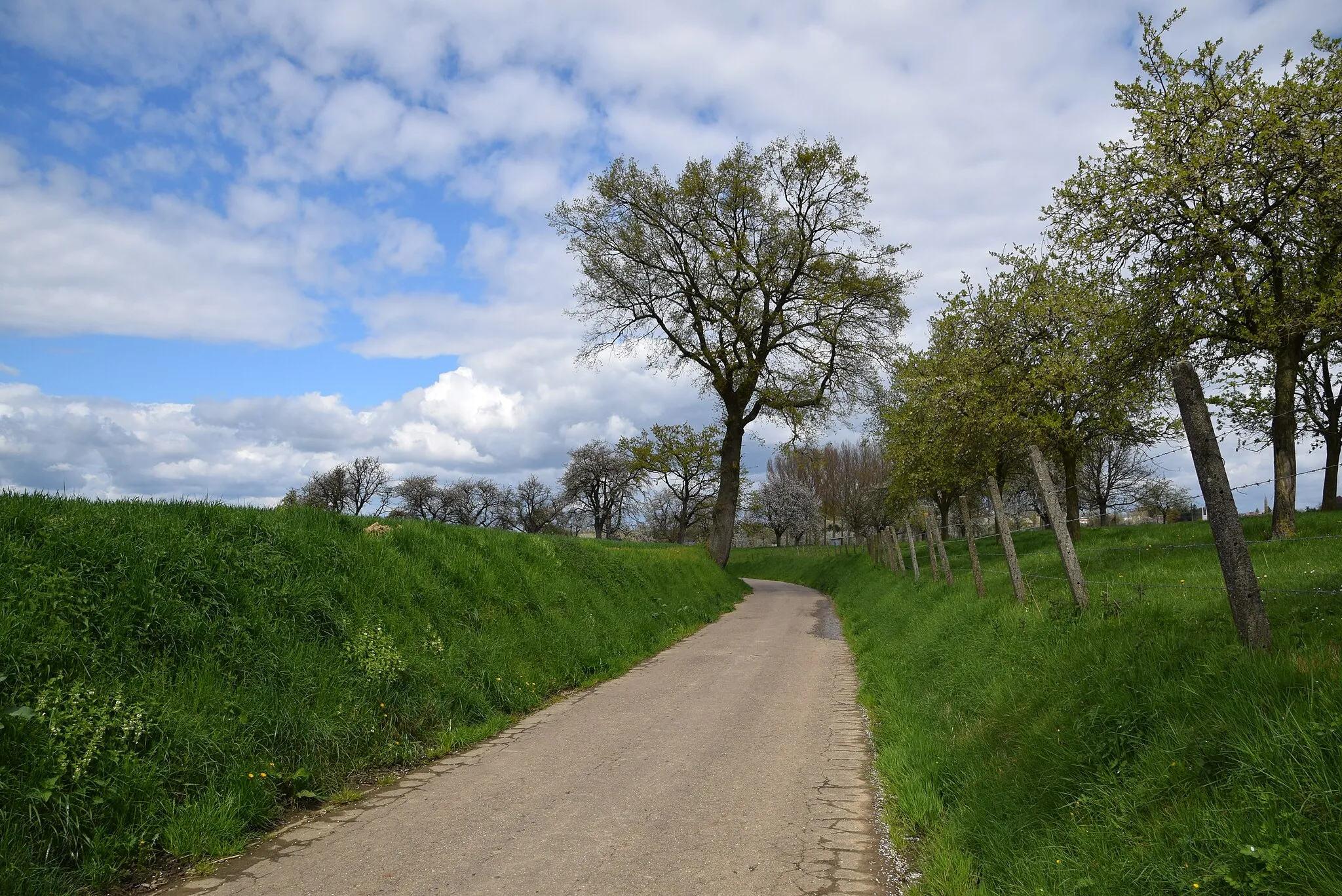 Photo showing: Valgaardstraat, Voort-Borgloon