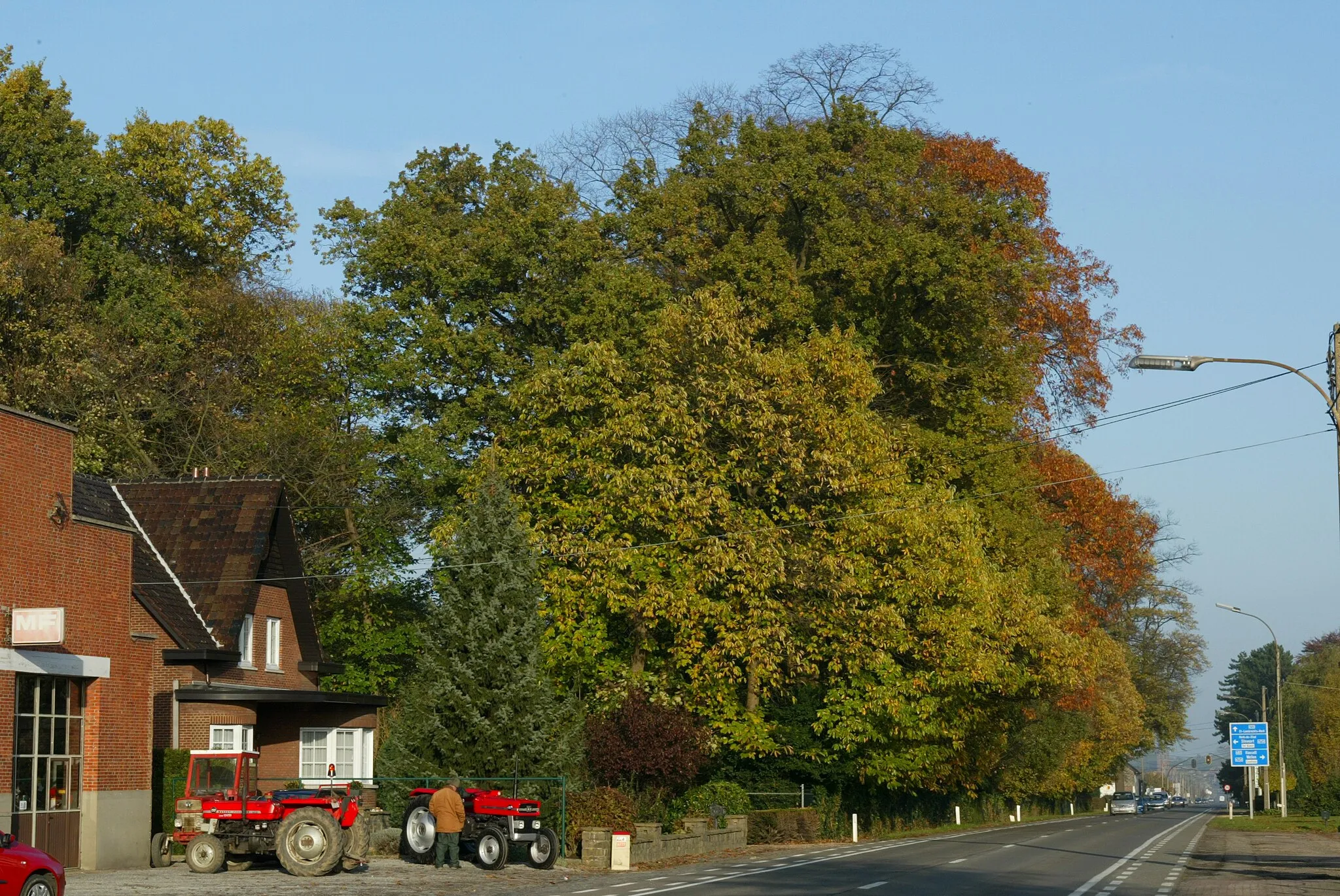 Photo showing: Het parkje bij Kasteel Hechtermans