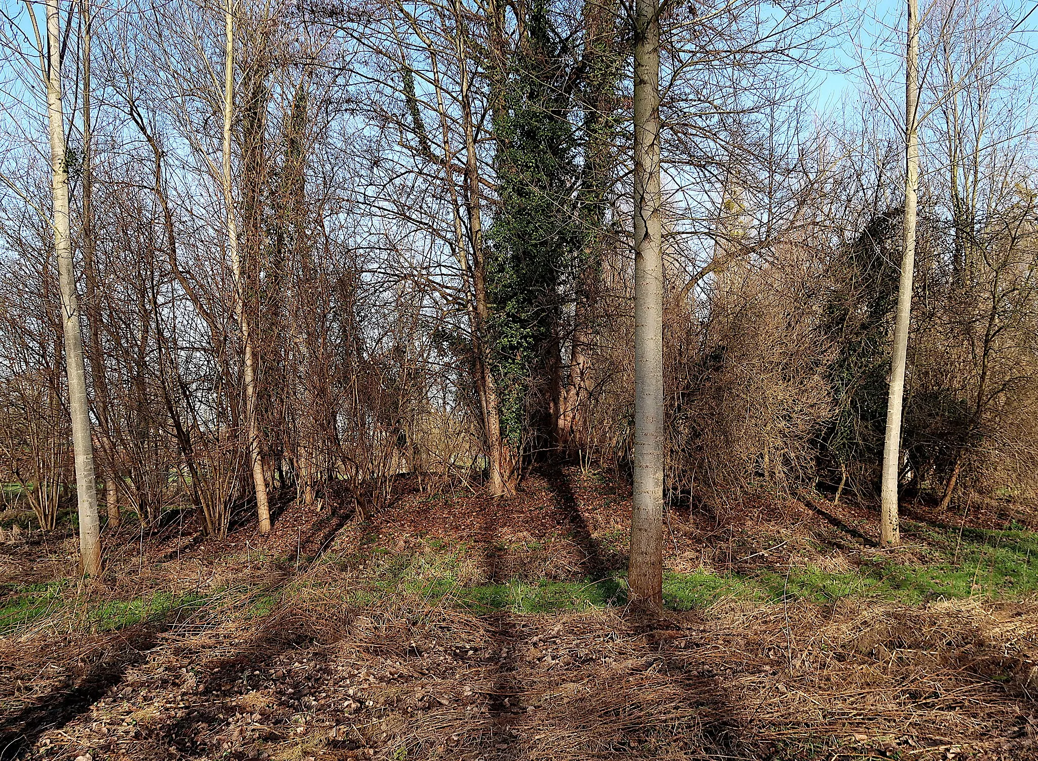 Photo showing: Blokkesmotte van middeleeuwse oorsprong, kunstmatig verhoging waar de beek werd rondgeleid en waarop ooit een houten torenversterking stond. In Romershoven (Hoeselt) ook Blokhuis genoemd.