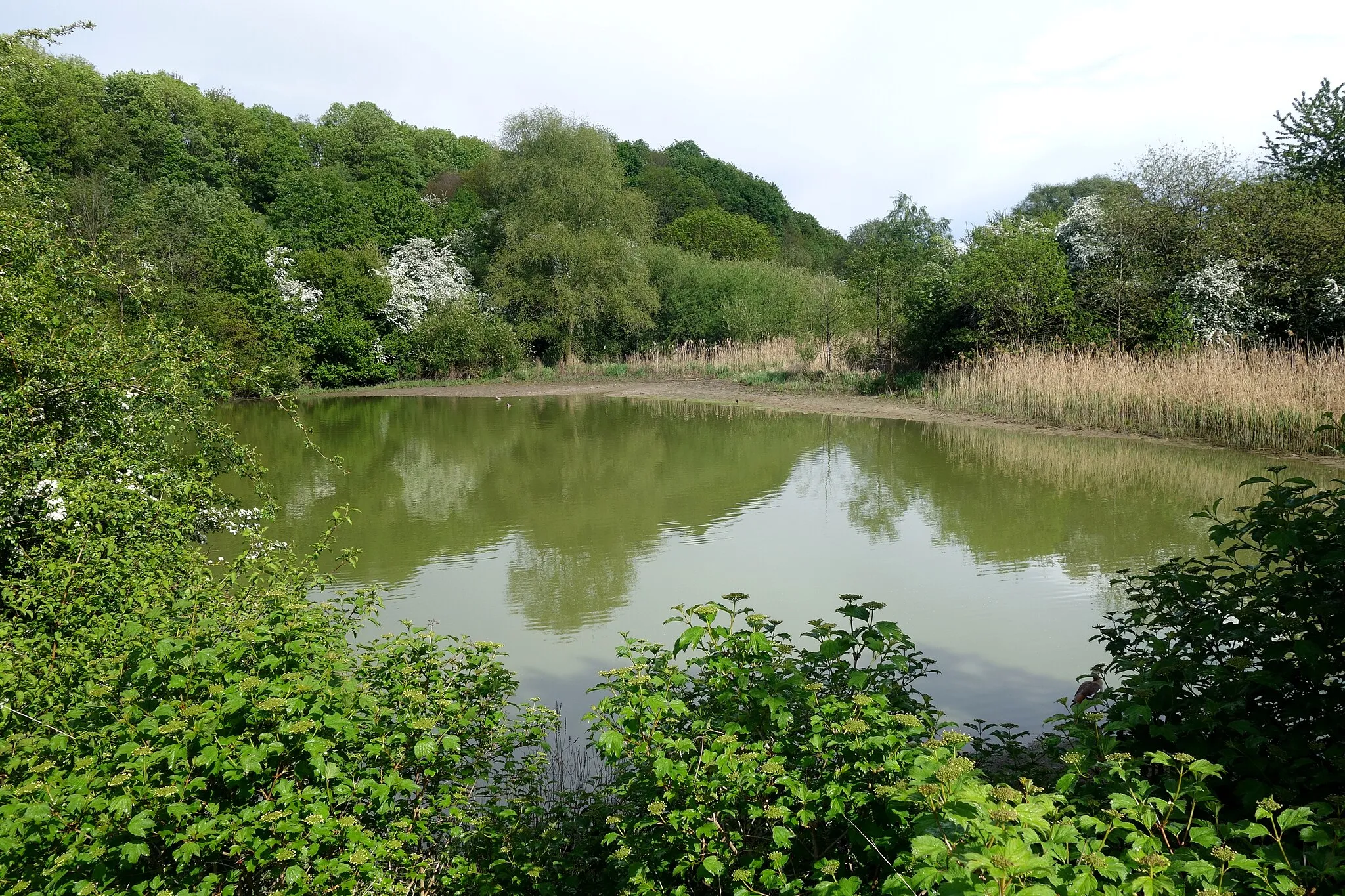 Photo showing: Rückhaltebecken am Rabentalweg in Aachen