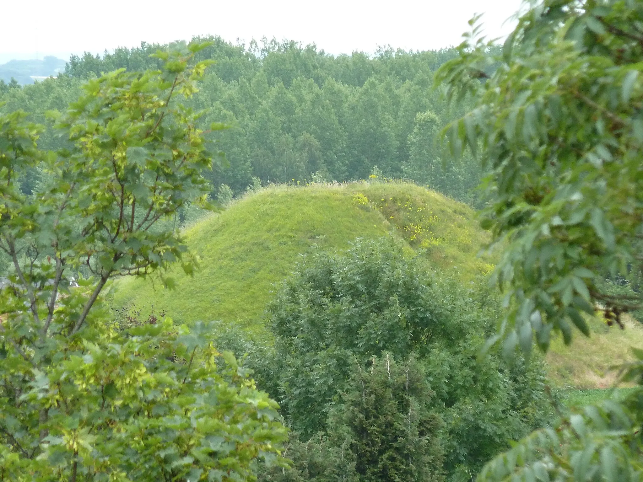 Photo showing: Tumulus Koninksem (Paardsweidestraat), Tongres, Belgiqiue