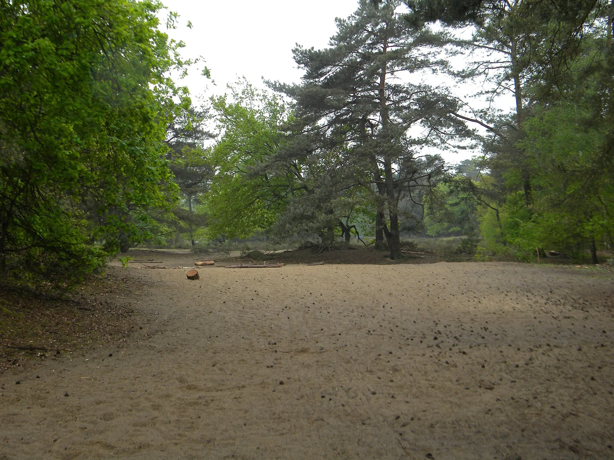 Photo showing: Stuifzandvlakte IJzeren Man