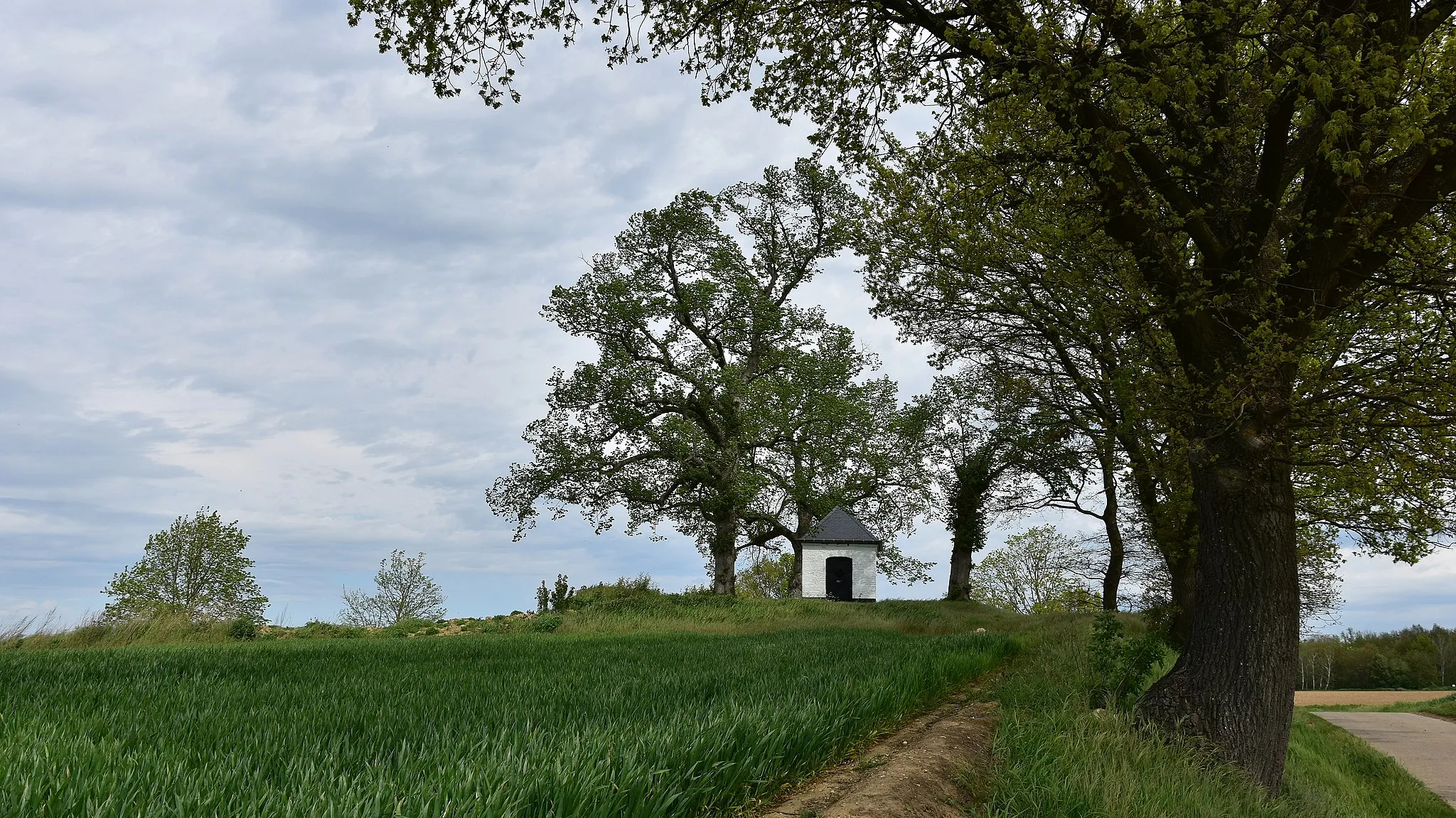 Photo showing: Tumulus van Wouteringen en kapel Eligius 9-05-2021 10-10-16