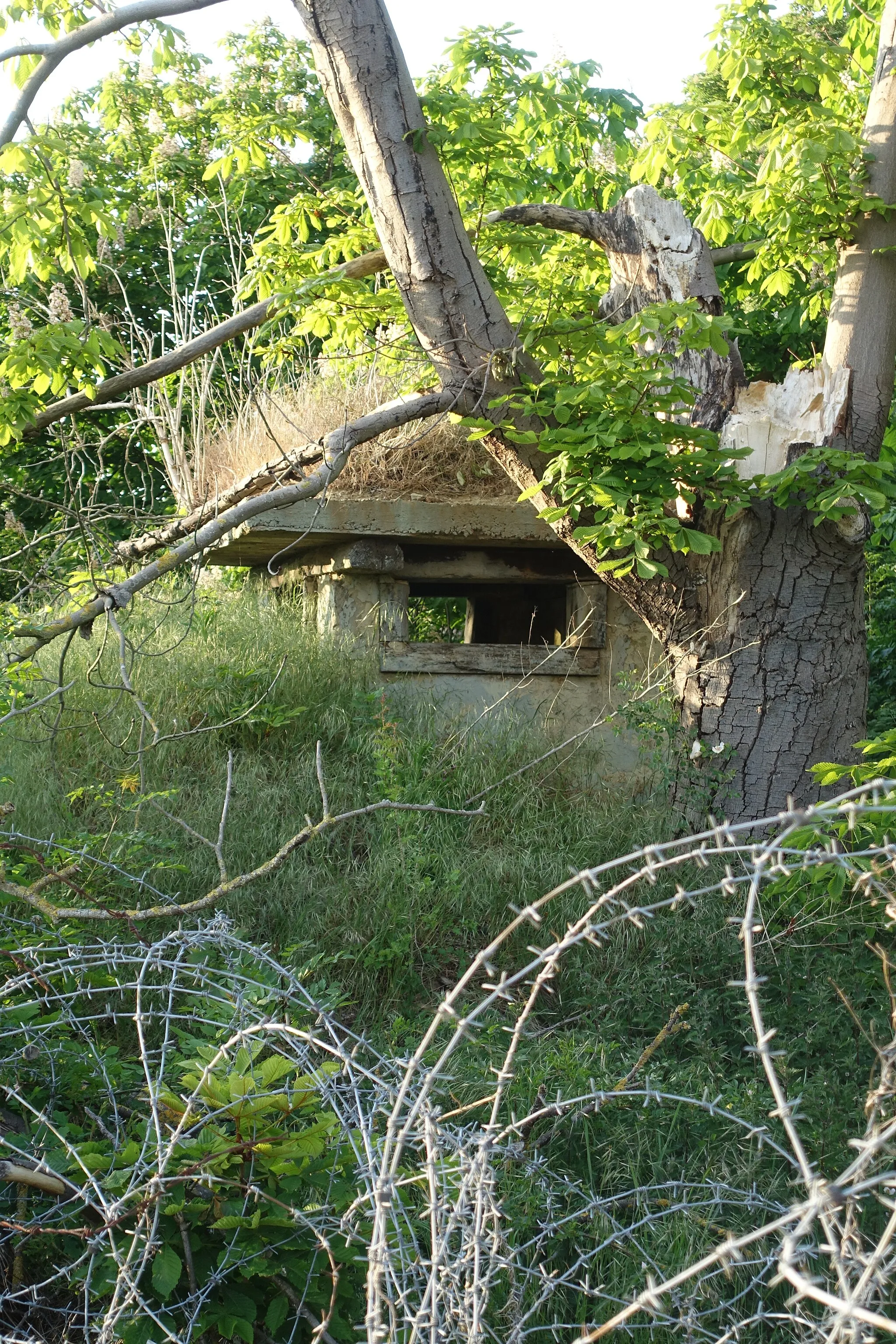 Photo showing: Observatiewachtpost bij ondergrondse commandobunker, de COC ‘Combat Operation Centre’-bunker (WingsOPS) uit de Koude Oorlog voor de nabijgelegen luchtmachtbasis van Brustem (Sint-Truiden), van waaruit in oorlogstijd alle operaties moesten gecoördineerd worden