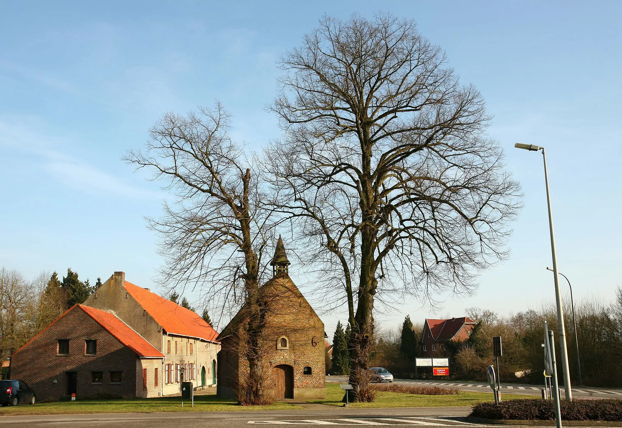 Photo showing: Sint-Catharinakapel met kapelbomen (opgaande linden)