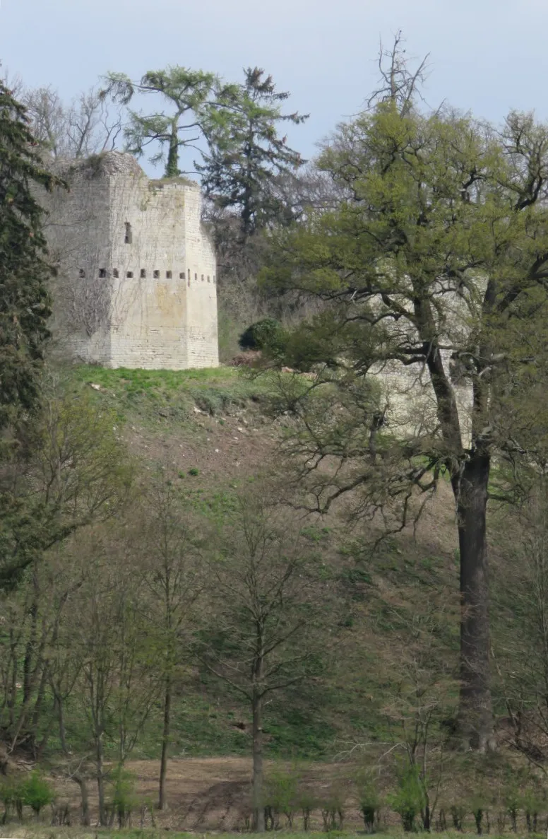 Photo showing: Burchtruïne van Kolmont in Tongeren