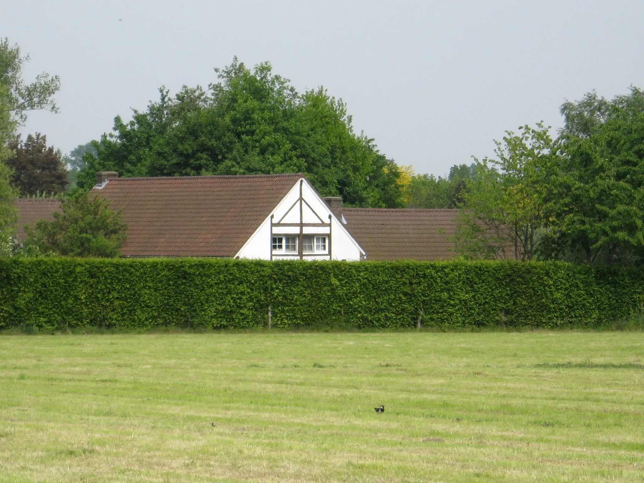 Photo showing: Hoeve met losse bestanddelen, Smetstraat 36 in Wimmertingen