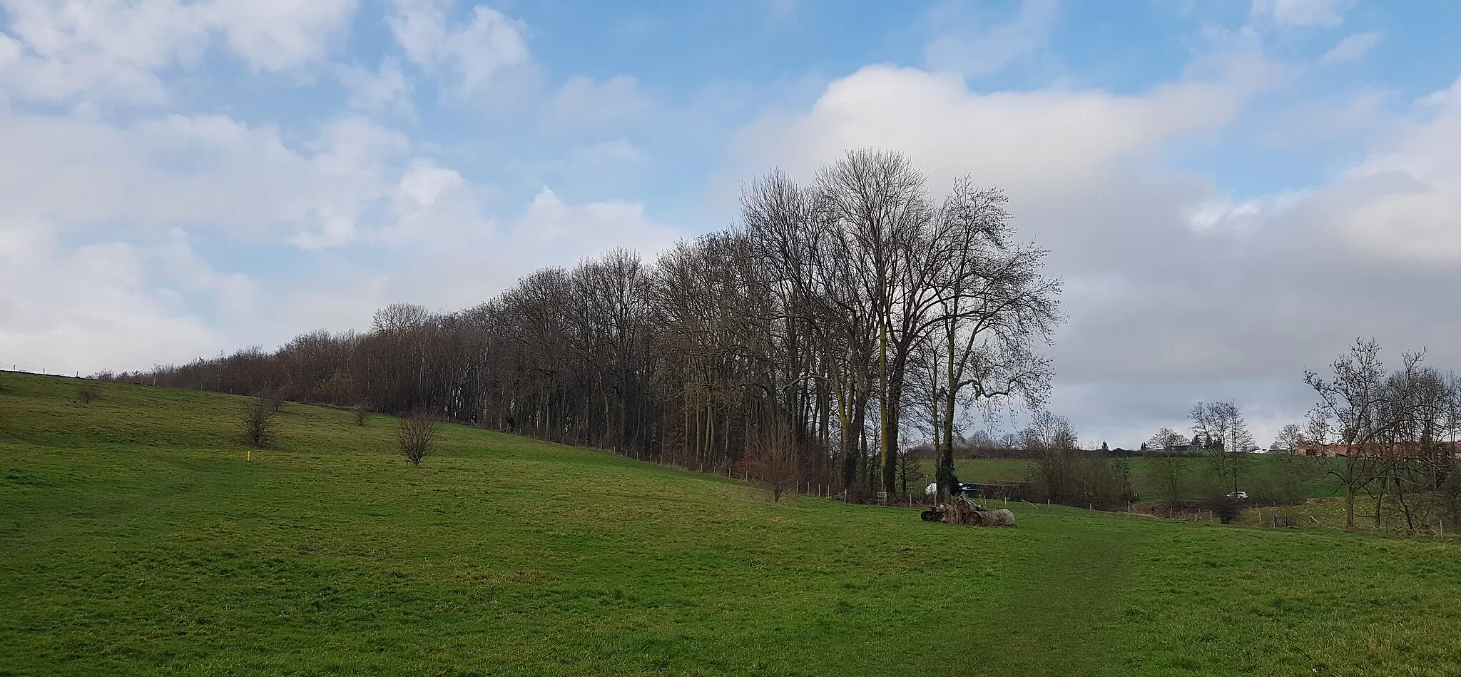 Photo showing: insnijding voor tramlijn Maastricht-Vaals bij De Hut, Zuid-Limburg, Nederland